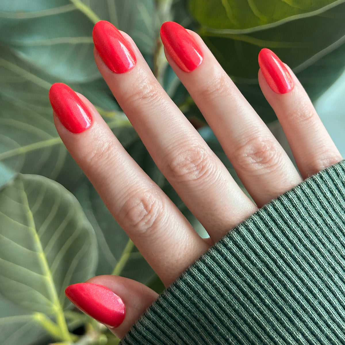 Rodeo Queen - Press-On | Medium | Oval、mySite、solidvoid