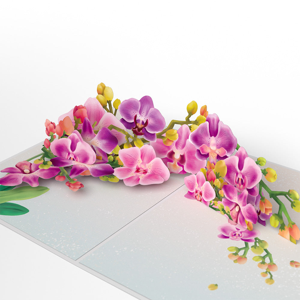 Watercolor Orchid Birthday Pop-Up Card and Sentiment Set for Granddaughter、mySite、solidvoid