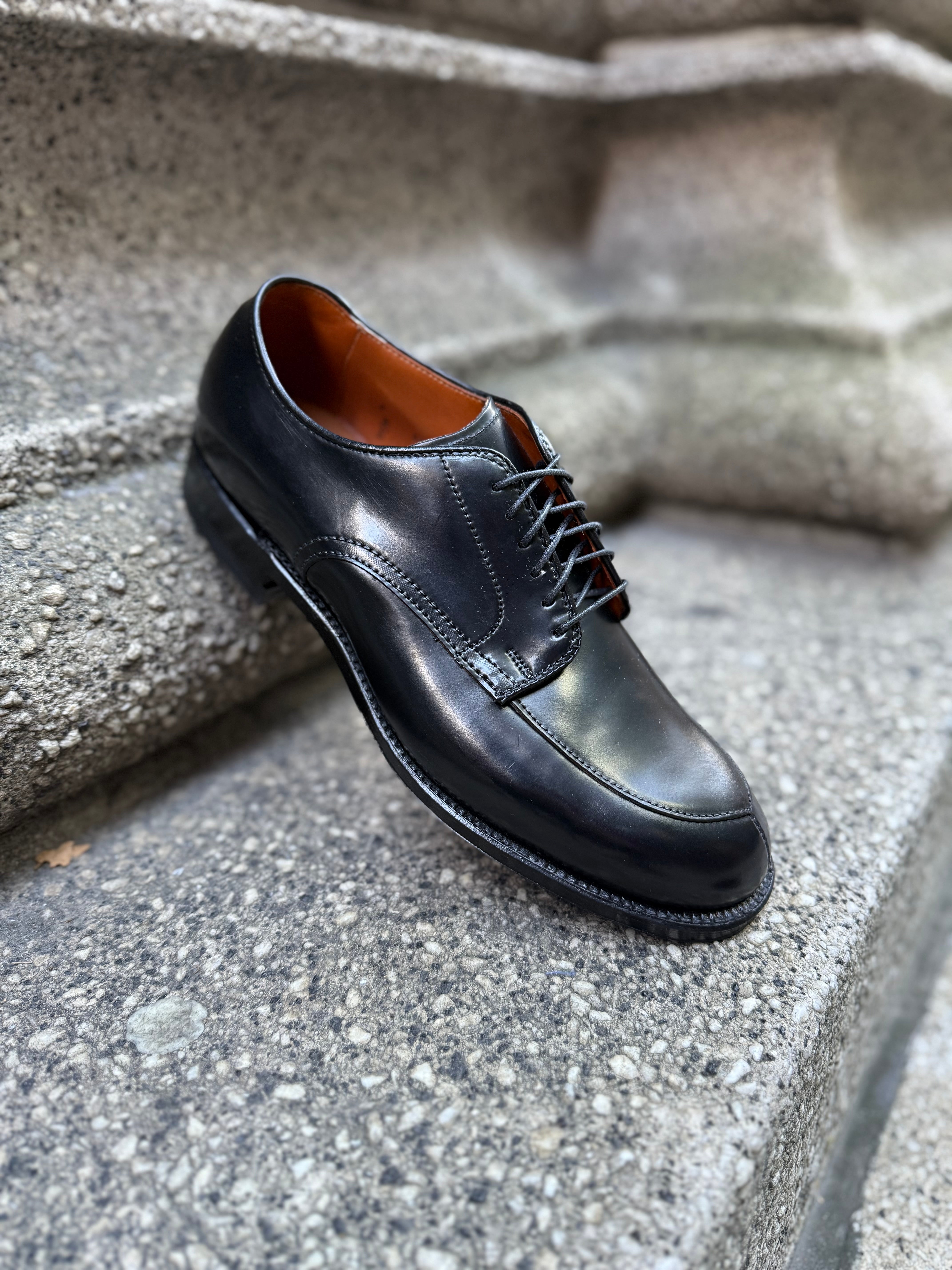  N6406 - Black Shell V-Tip on 379X、mySite、preschool7hills