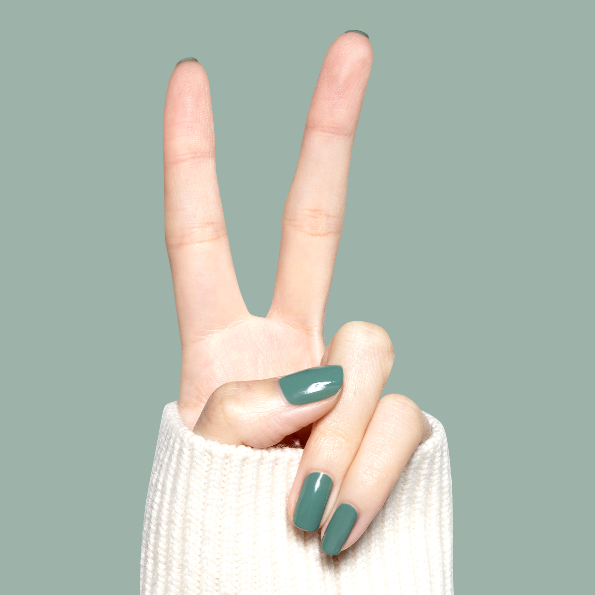 Still Life of Flowers、mySite、solidvoid