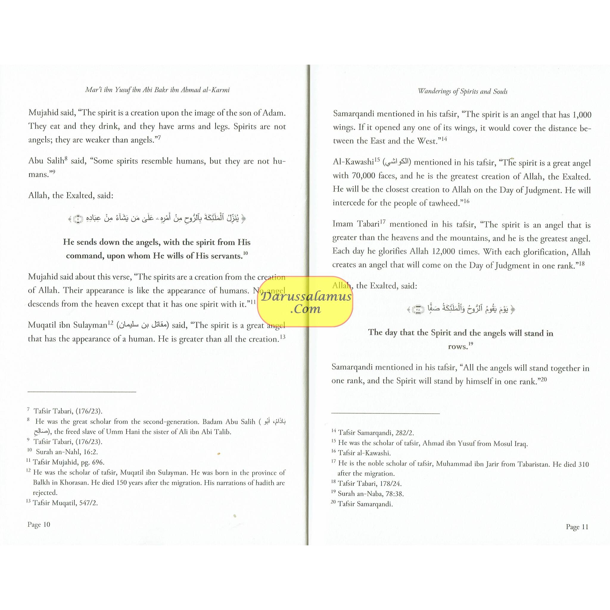 Wandering of Spirits and Souls by Shaykh Mart ibn Yusuf、mySite、topwebapps