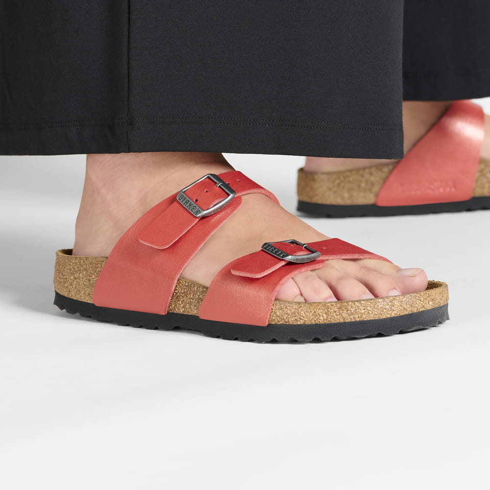 Sydney Birko-Flor、mySite、gtrtttuynbv