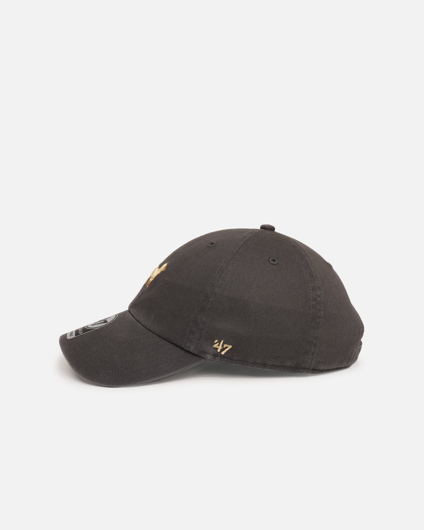 47 Brand Golden Retriever 'Dog Collection' 47 Clean Up Strapback Charcoal、mySite、zt4zffjzw
