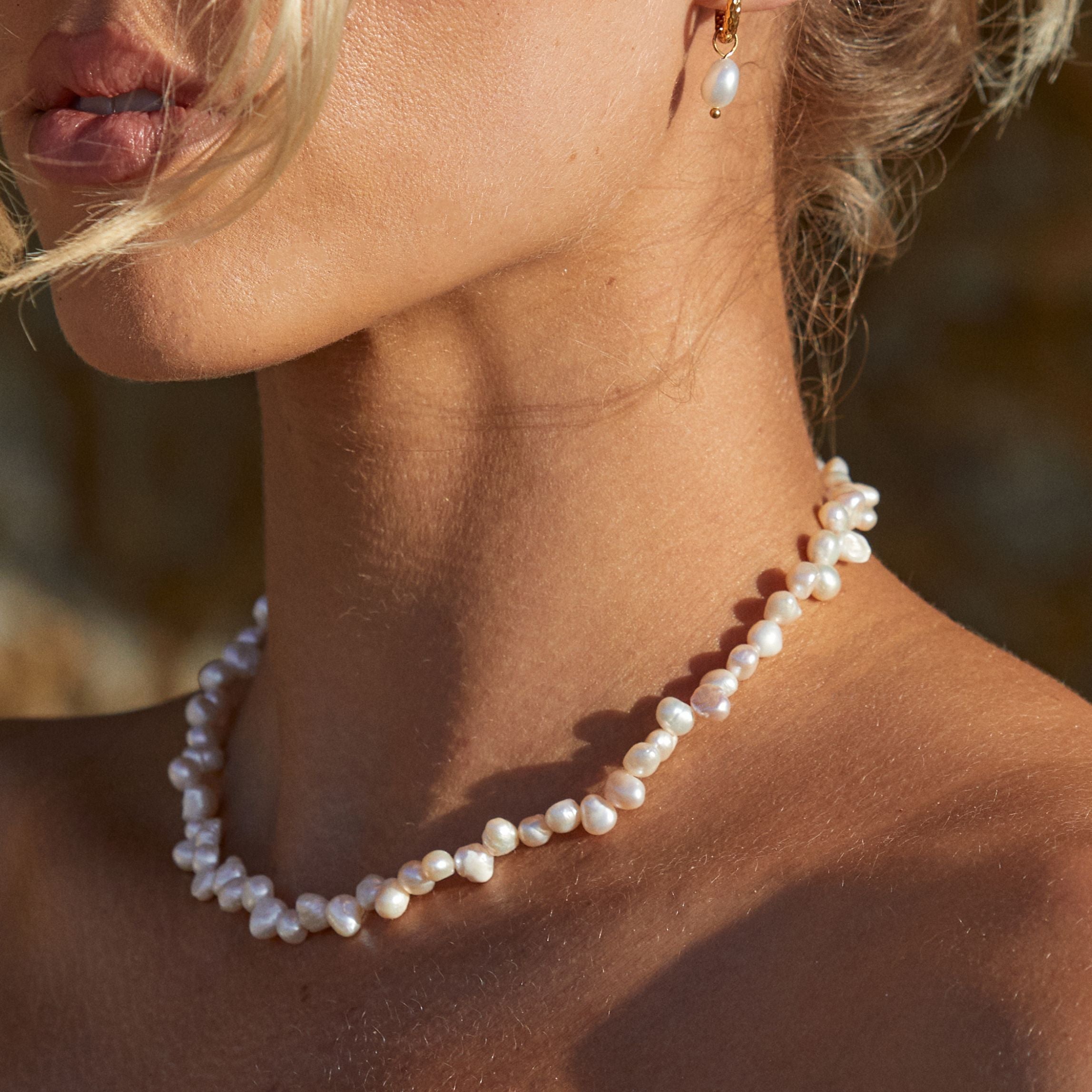 Sunseeker Choker、mySite、hinf8tx79