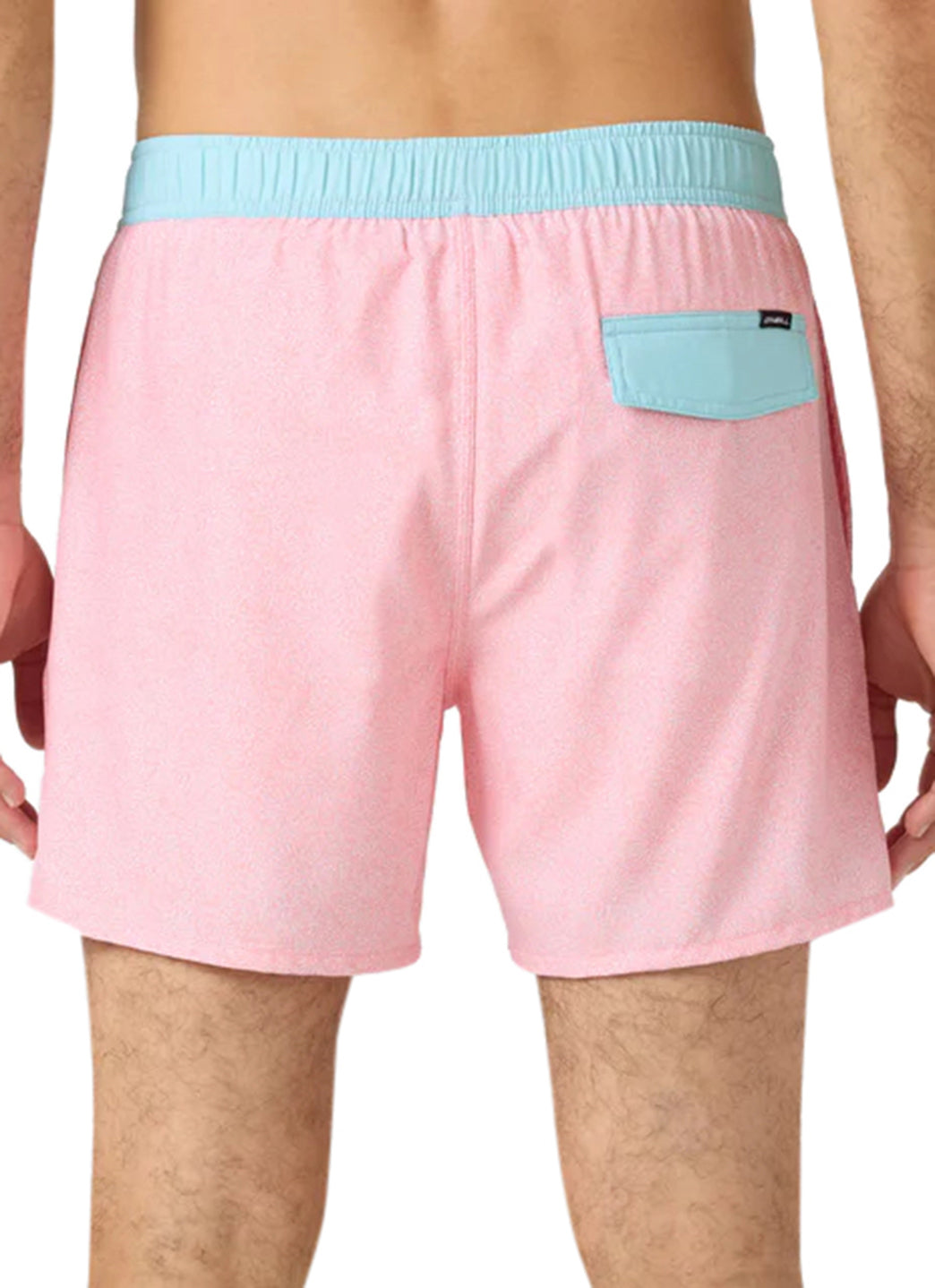 O'Neill Men's 15 Hermosa Light Swim Trunks、mySite、noshort
