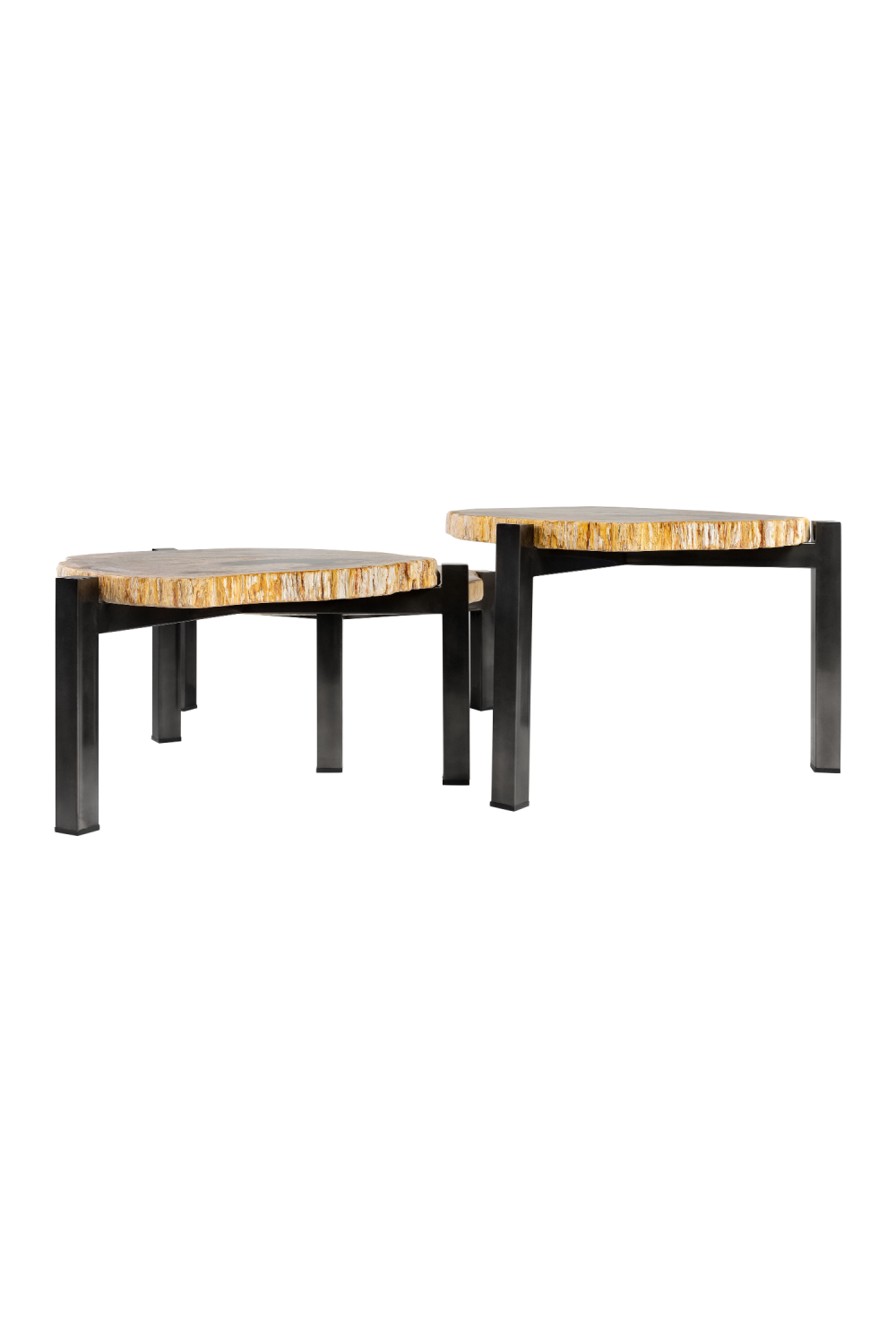Petrified Wood Nested Coffee Tables (3) | Versmissen、mySite、neckold