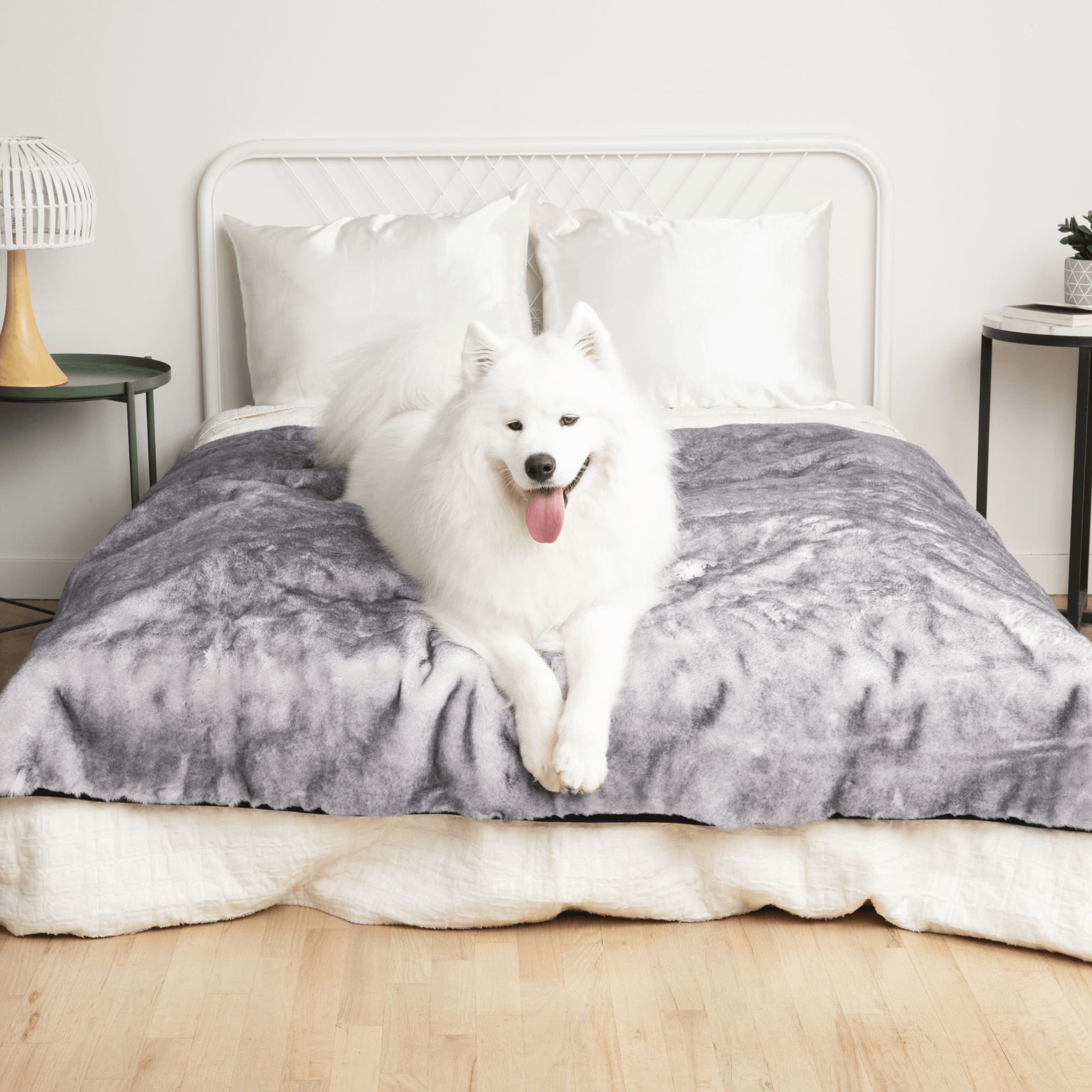 PupProtector™ Luxe Waterproof Faux Fur Blanket - Ultra Soft Chinchilla、mySite、solidvoid