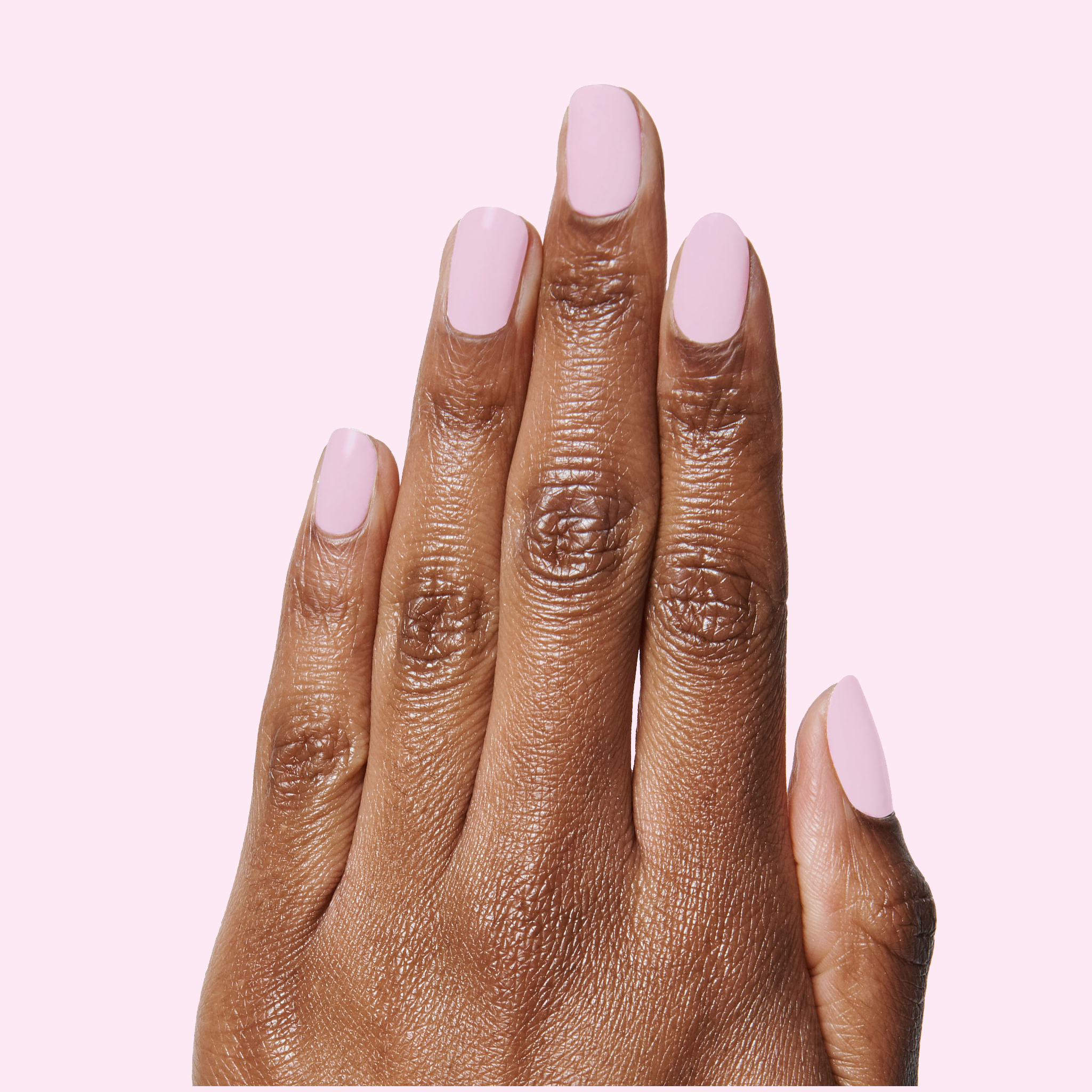 Cockatoo、mySite、solidvoid