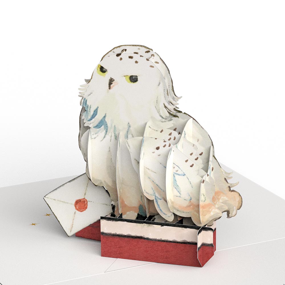 Harry Potter™ Holiday Box Set (Assorted 12-Pack): Paperpop® Card、mySite、solidvoid