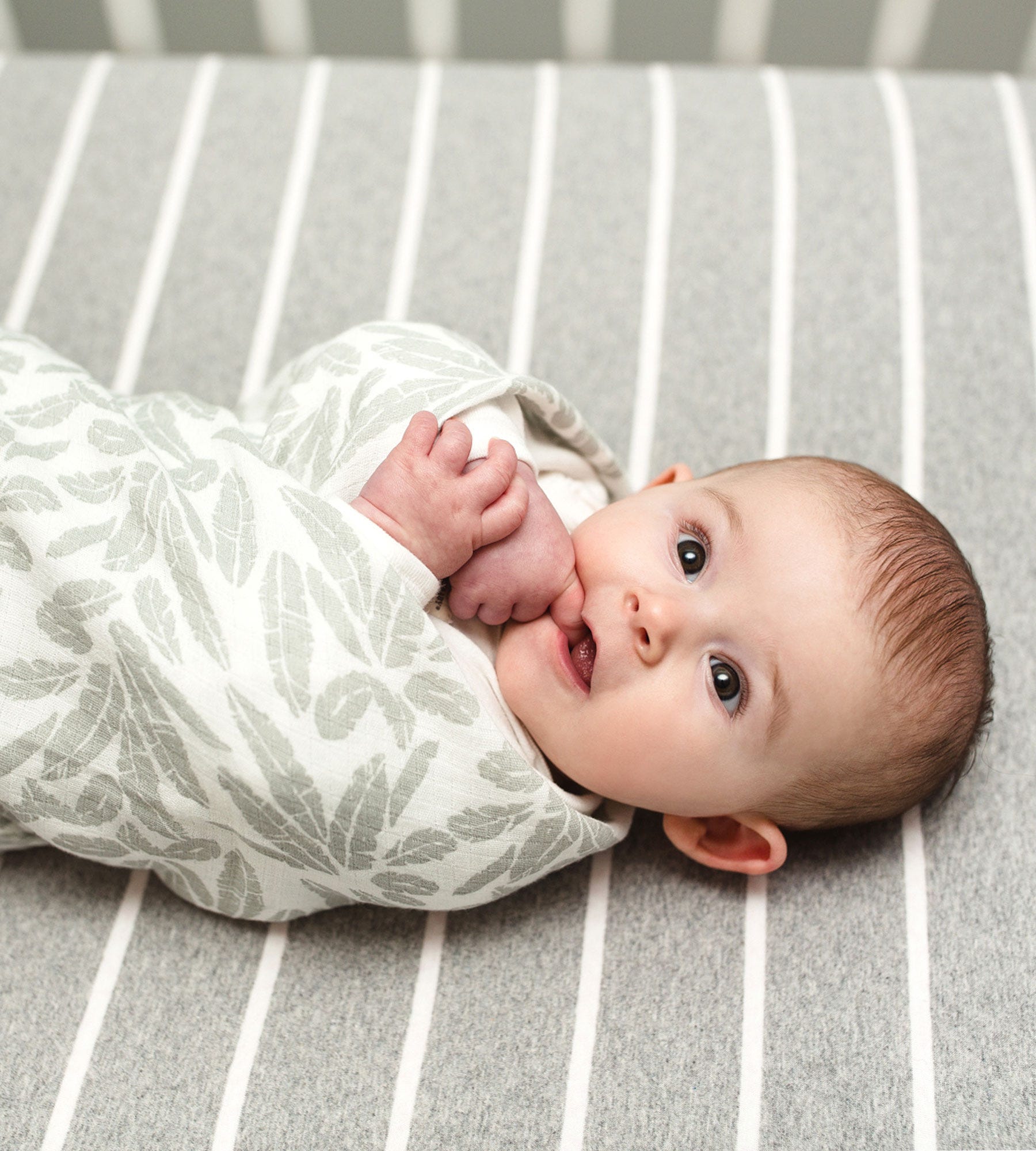 Pine Forest & Stripe Organic Cotton BEESNUG® Fitted Crib Sheet 2 Pack、mySite、g9winljtr