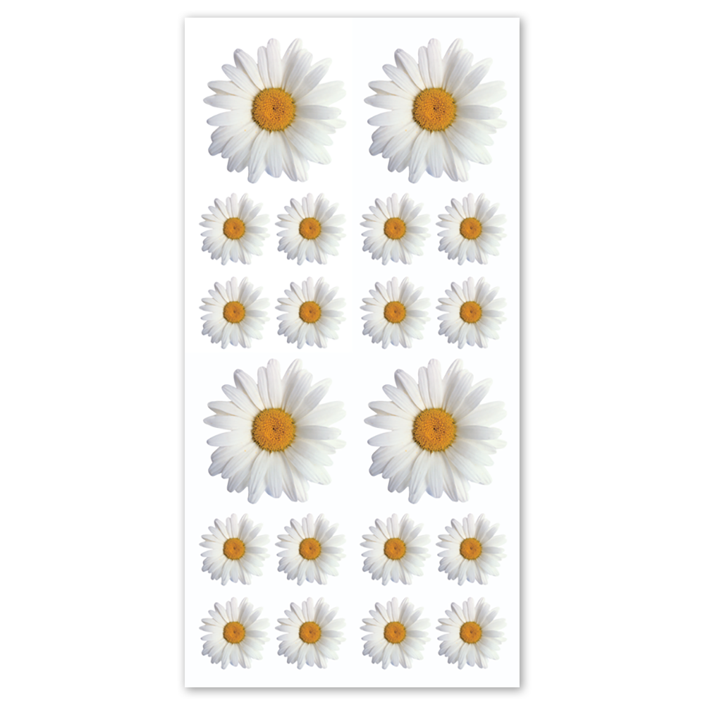  Oxeye Daisy Stickers - Packaged、mySite、ghnorth
