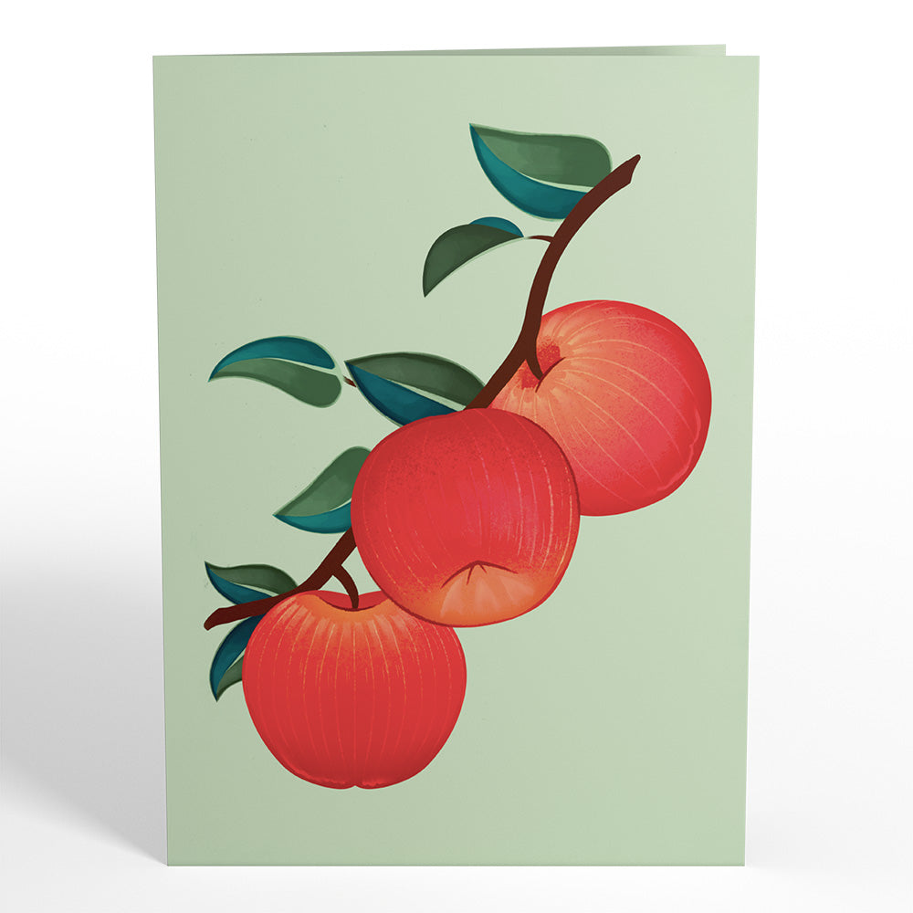 Apple Tree Pop-Up Card、mySite、solidvoid
