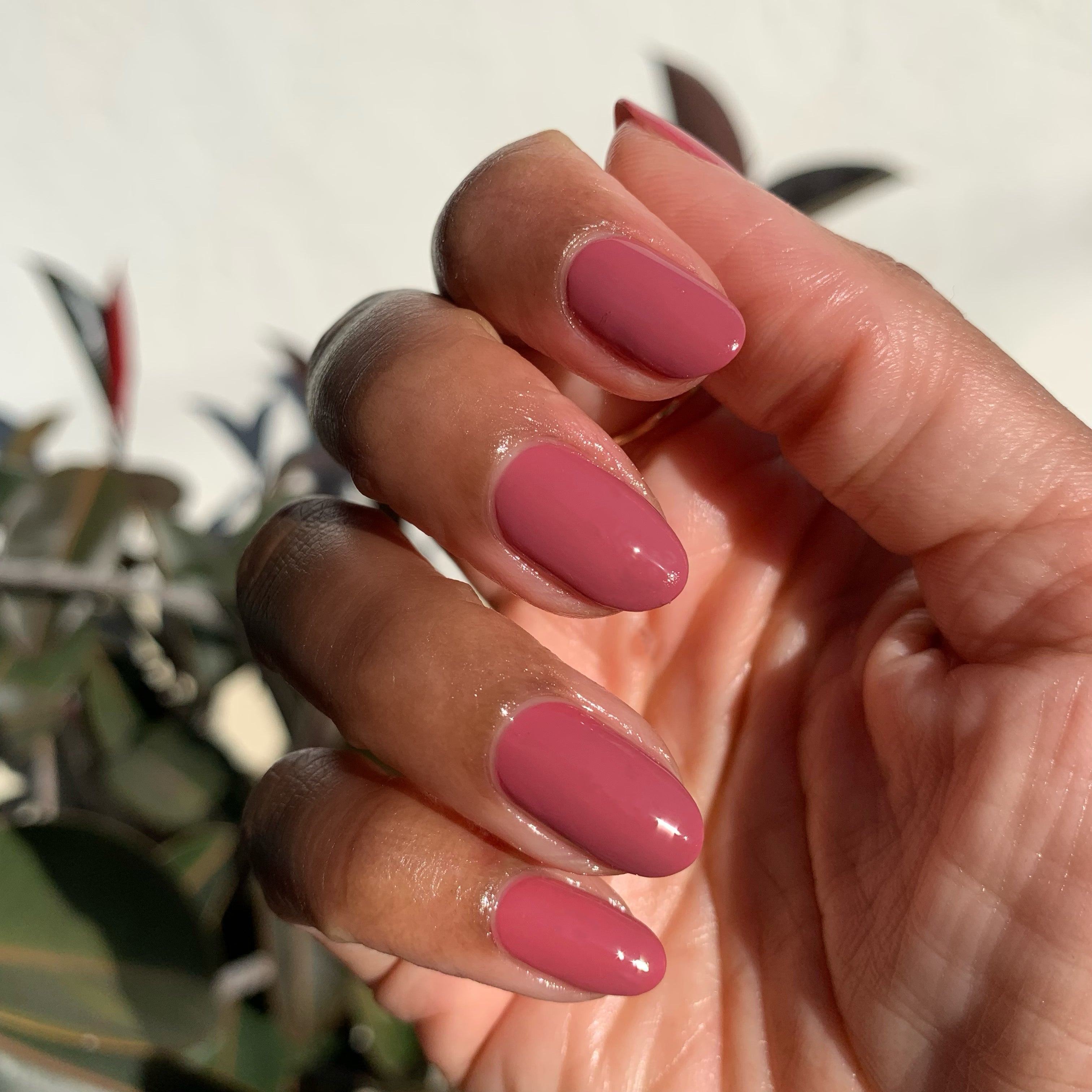 Fig Ranch、mySite、solidvoid