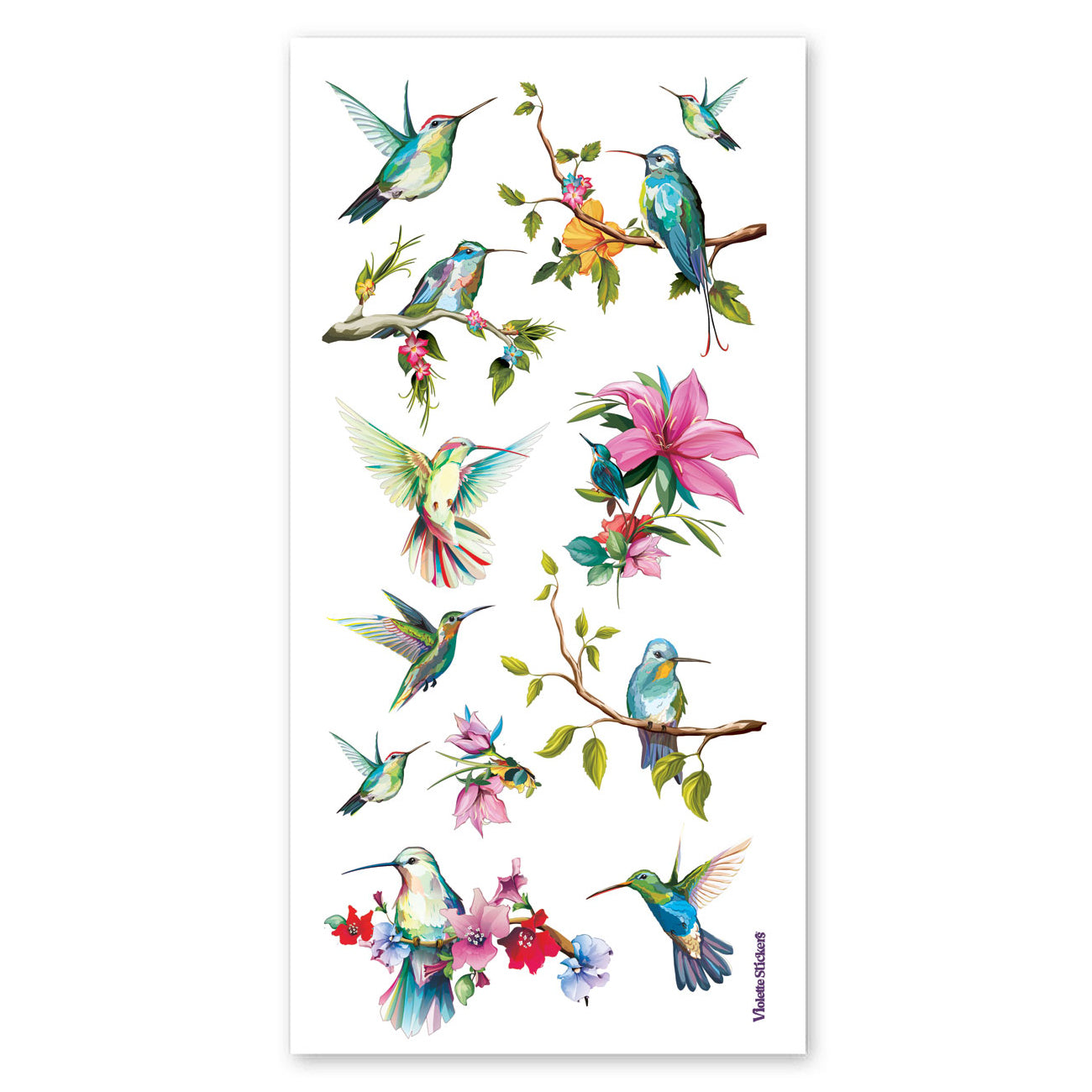  Vintage Hummingbird Stickers、mySite、ghnorth
