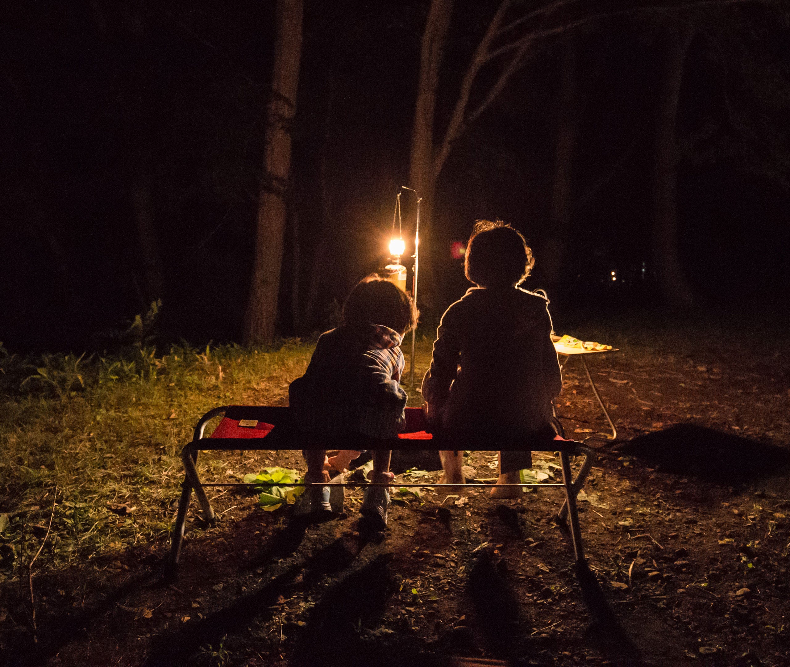 Red FD Folding Camping Bench、mySite、topwebapps