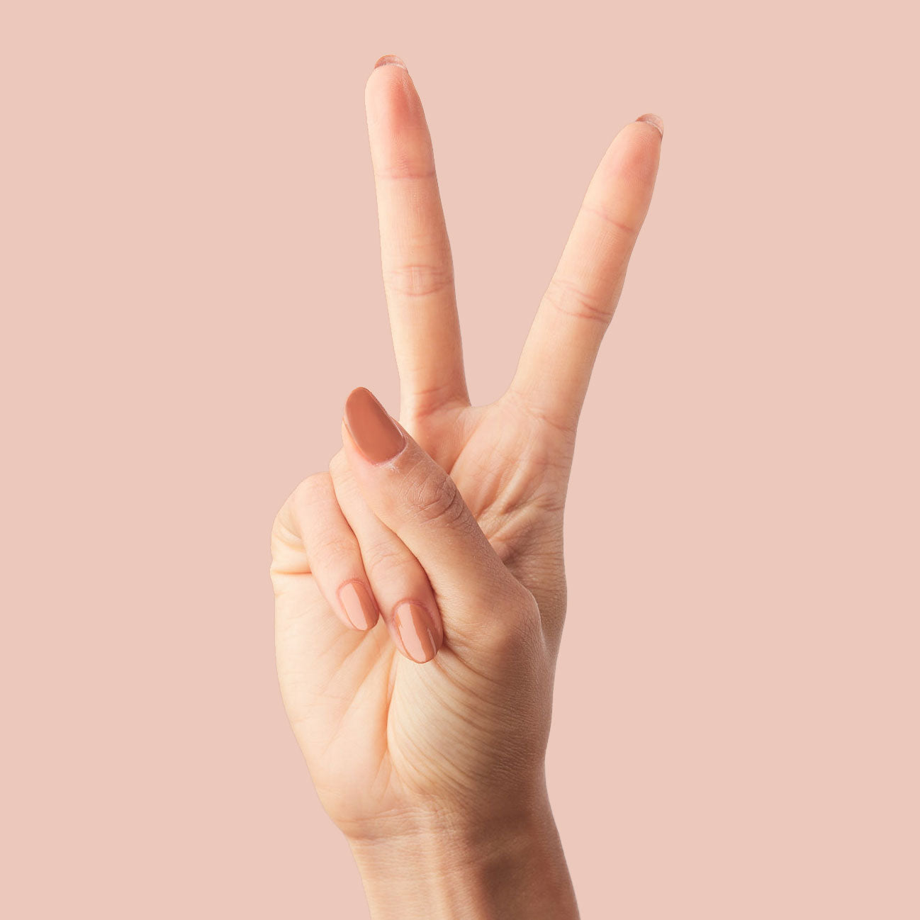 Caramel Budino、mySite、solidvoid