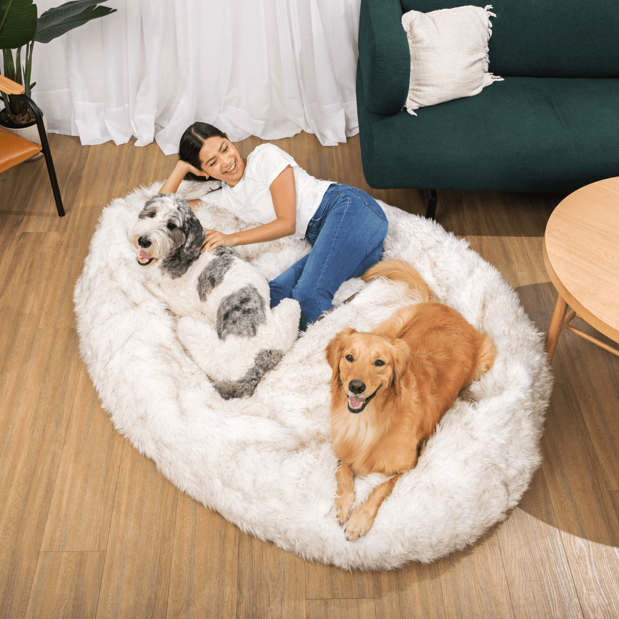 PupCloud™ Human-Size Faux Fur Memory Foam Dog Bed - White with Brown Accents、mySite、solidvoid