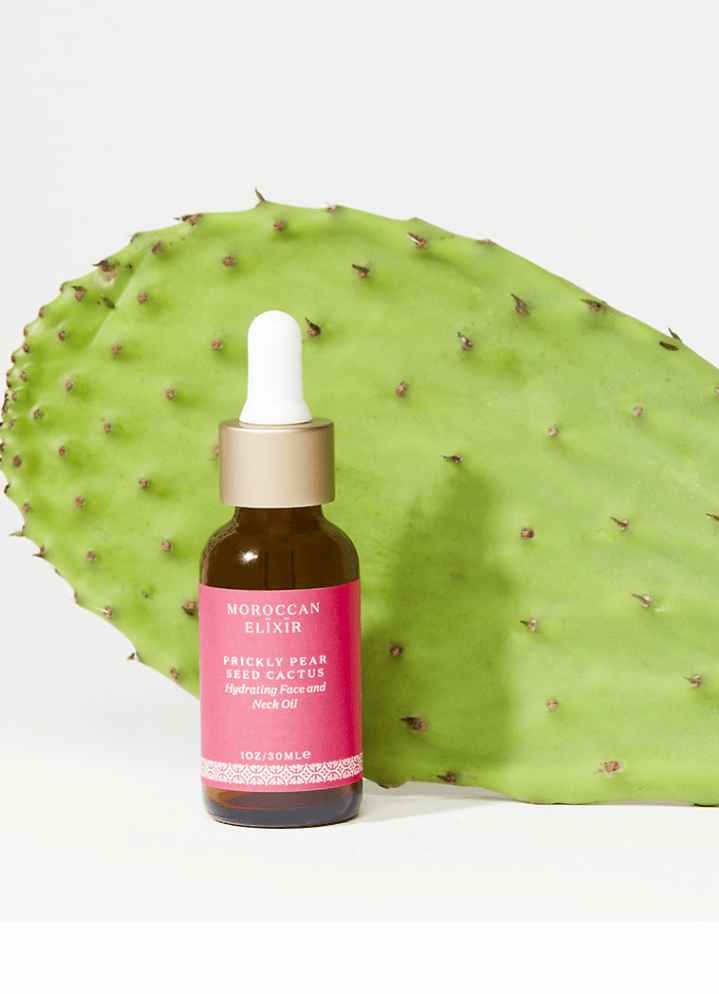  PRICKLY PEAR SEED CACTUS Oil、mySite、elrpsem3k