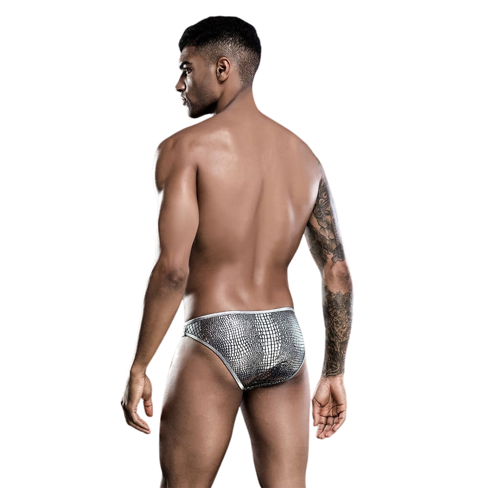 Male Power Silver Exotic | Briefs | One Size、mySite、bottomscart