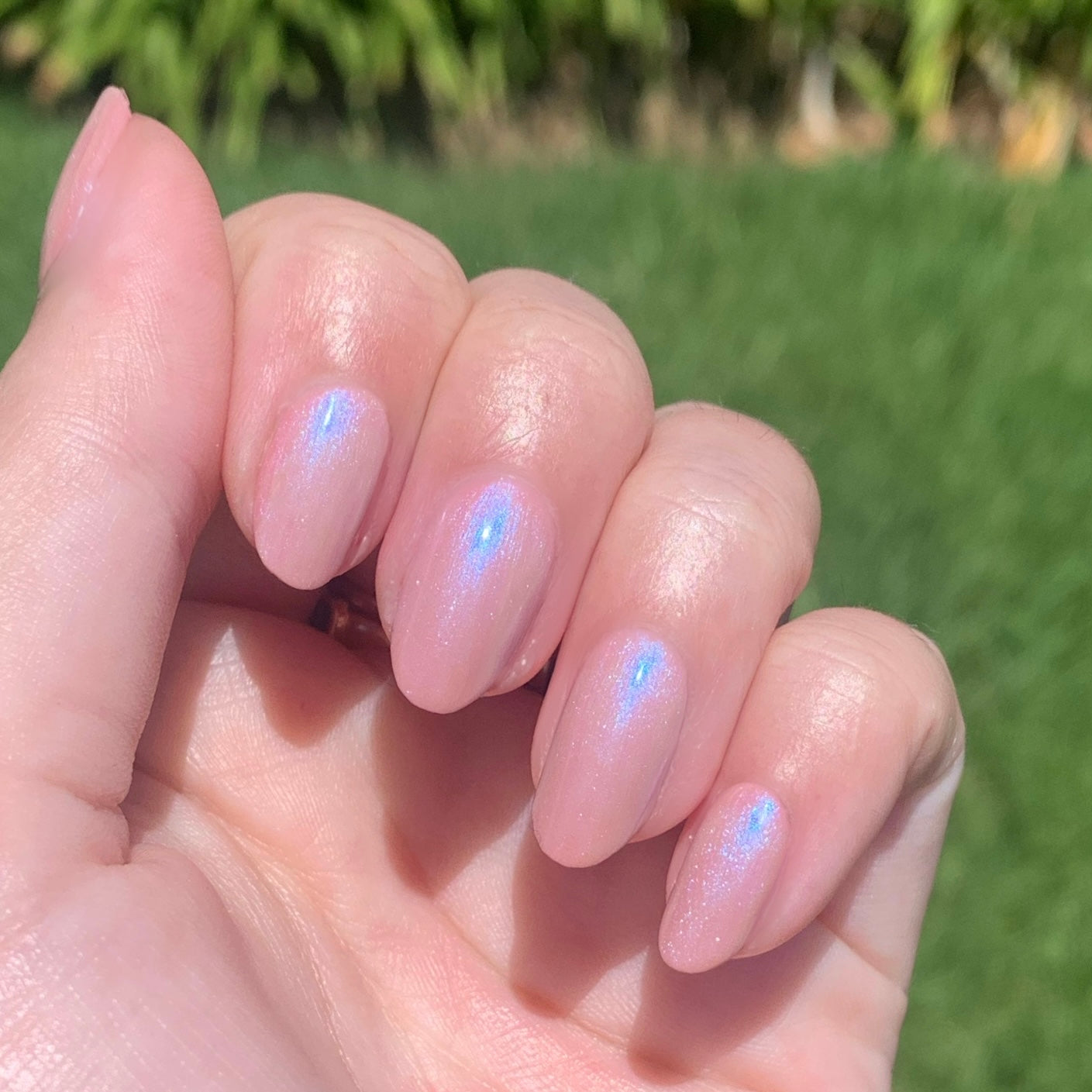 Apple Cider Glazed Donut Set、mySite、solidvoid