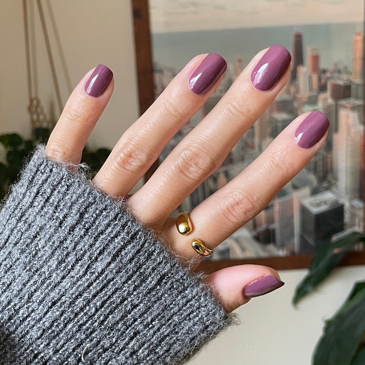 Cardigan、mySite、solidvoid