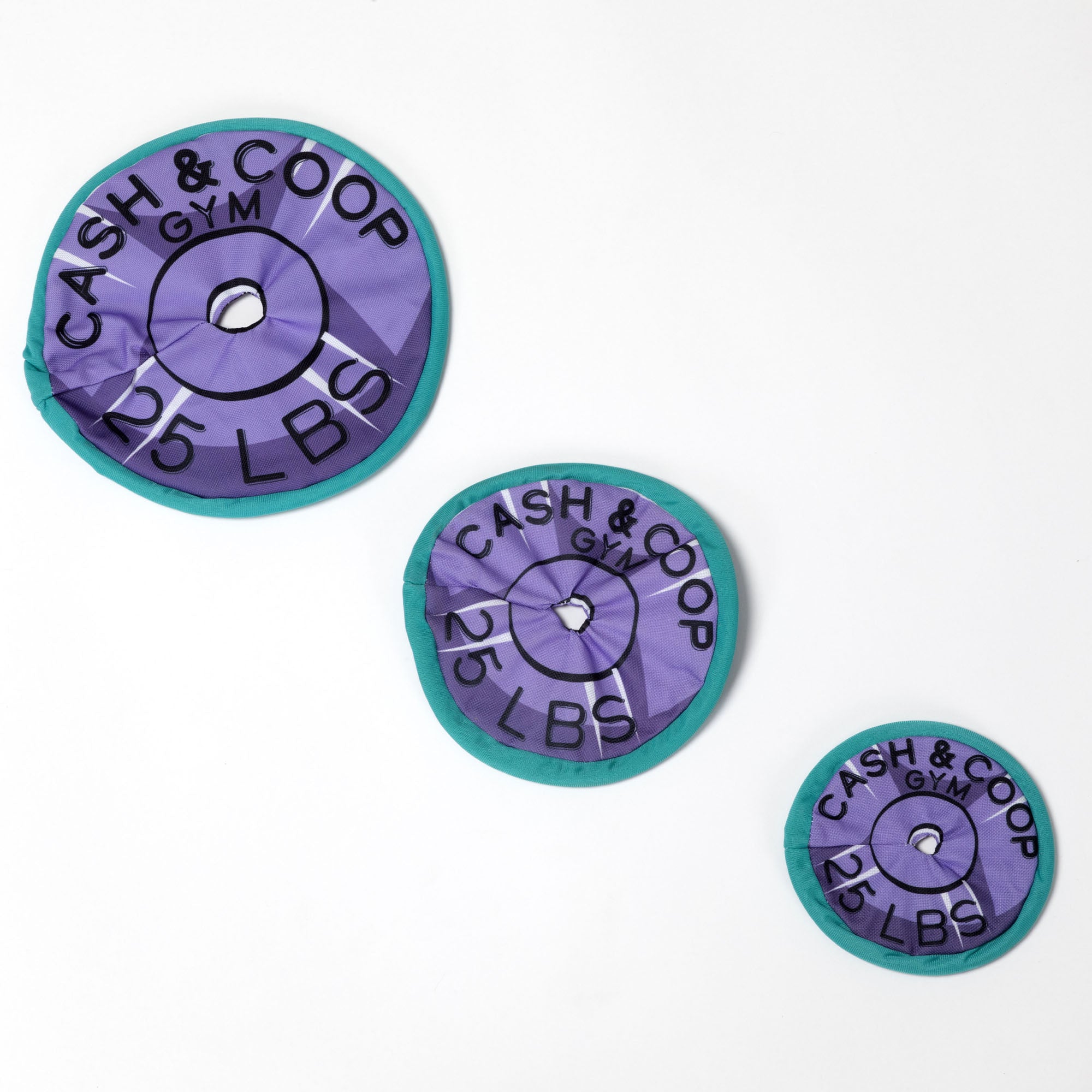 Cash & Coop Weight Plate Frisbee Dog Toy、mySite、camillekostekn