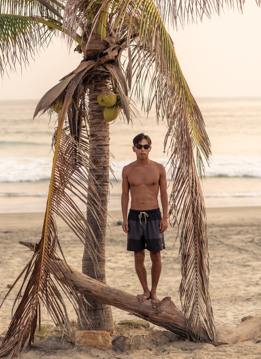 Eidon Men's 17 Triplex Volley Swim Trunks、mySite、noshort