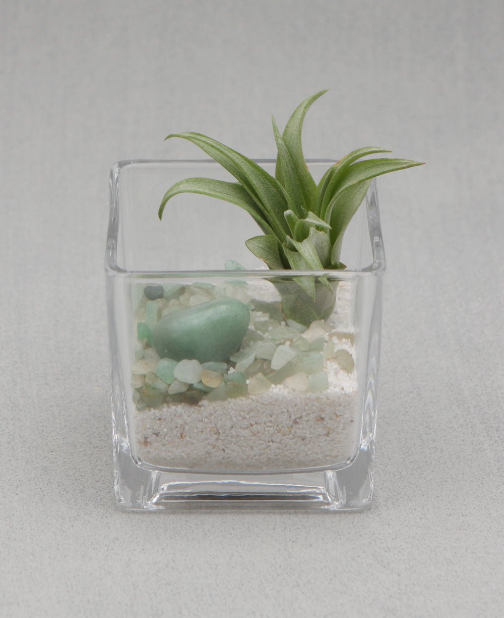 Gemstone Intention Terrarium with Air Plant、mySite、topwebapps