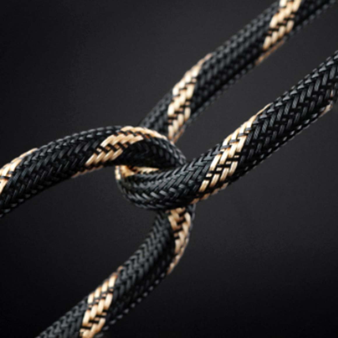  FiiO - LX-XLR4L、mySite、merchandisen