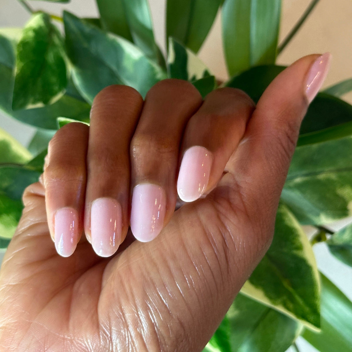 Glossed、mySite、solidvoid