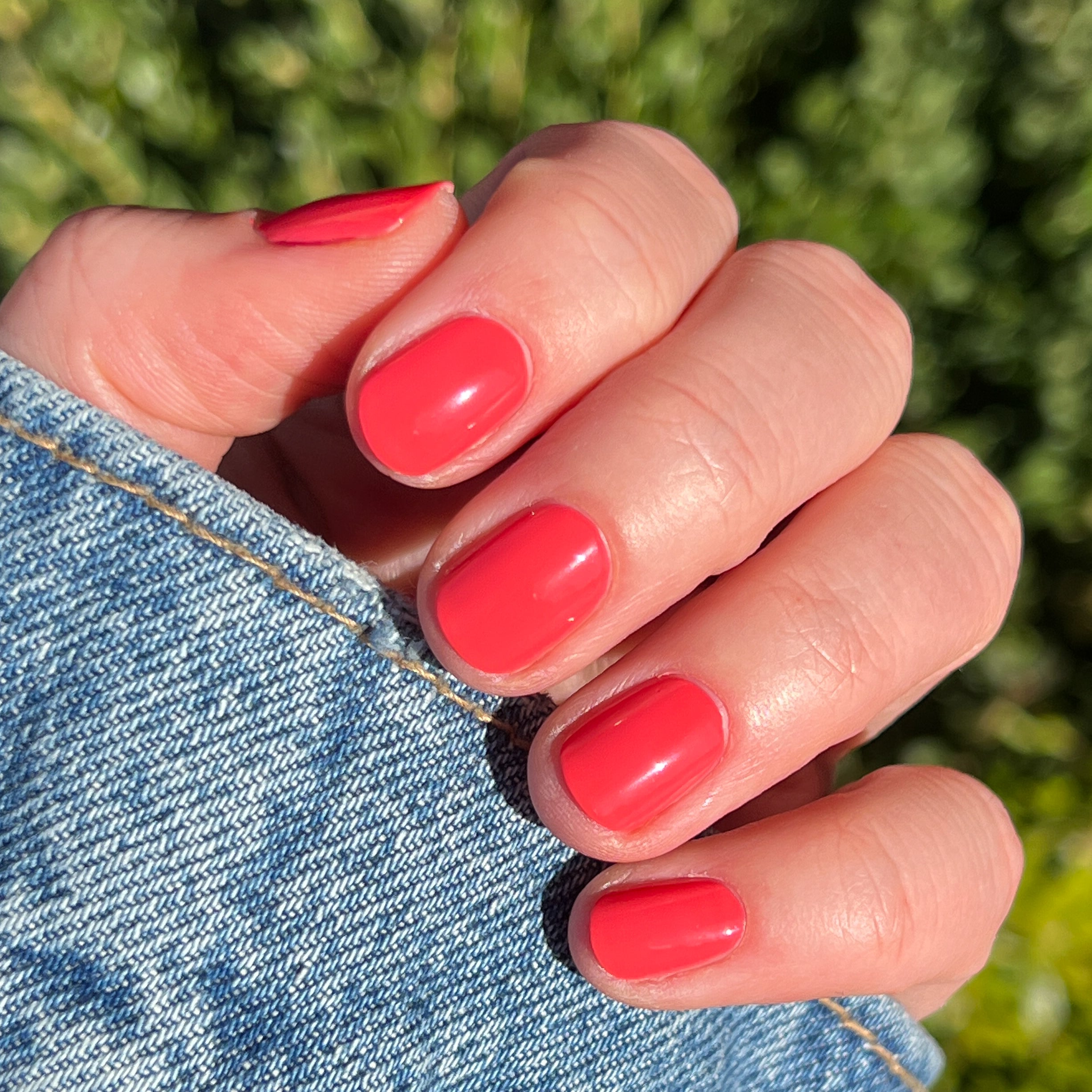 Field Day、mySite、solidvoid