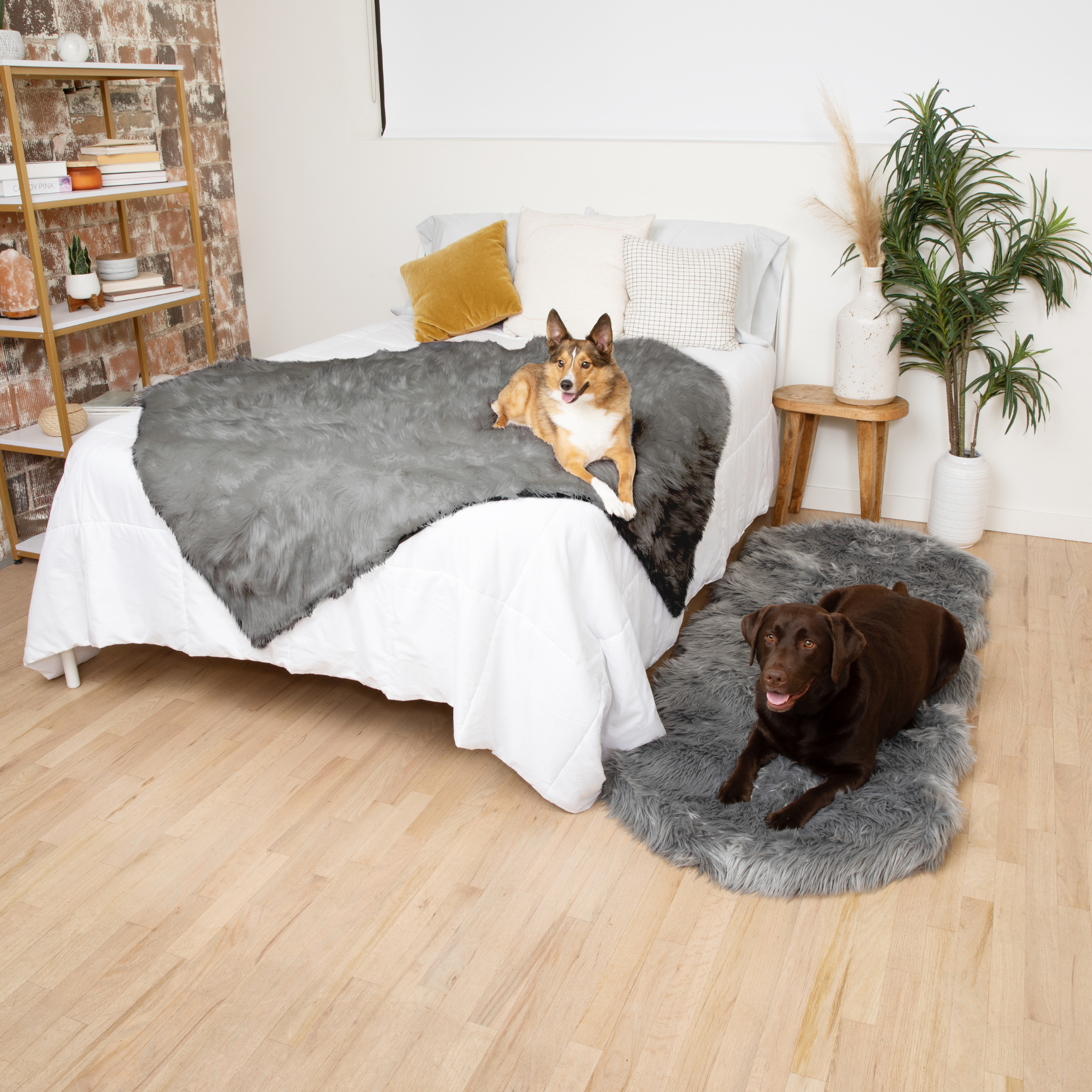 PupRug™ Orthopedic Runner Bed + Matching Waterproof Blanket Bundle - Charcoal Grey、mySite、solidvoid