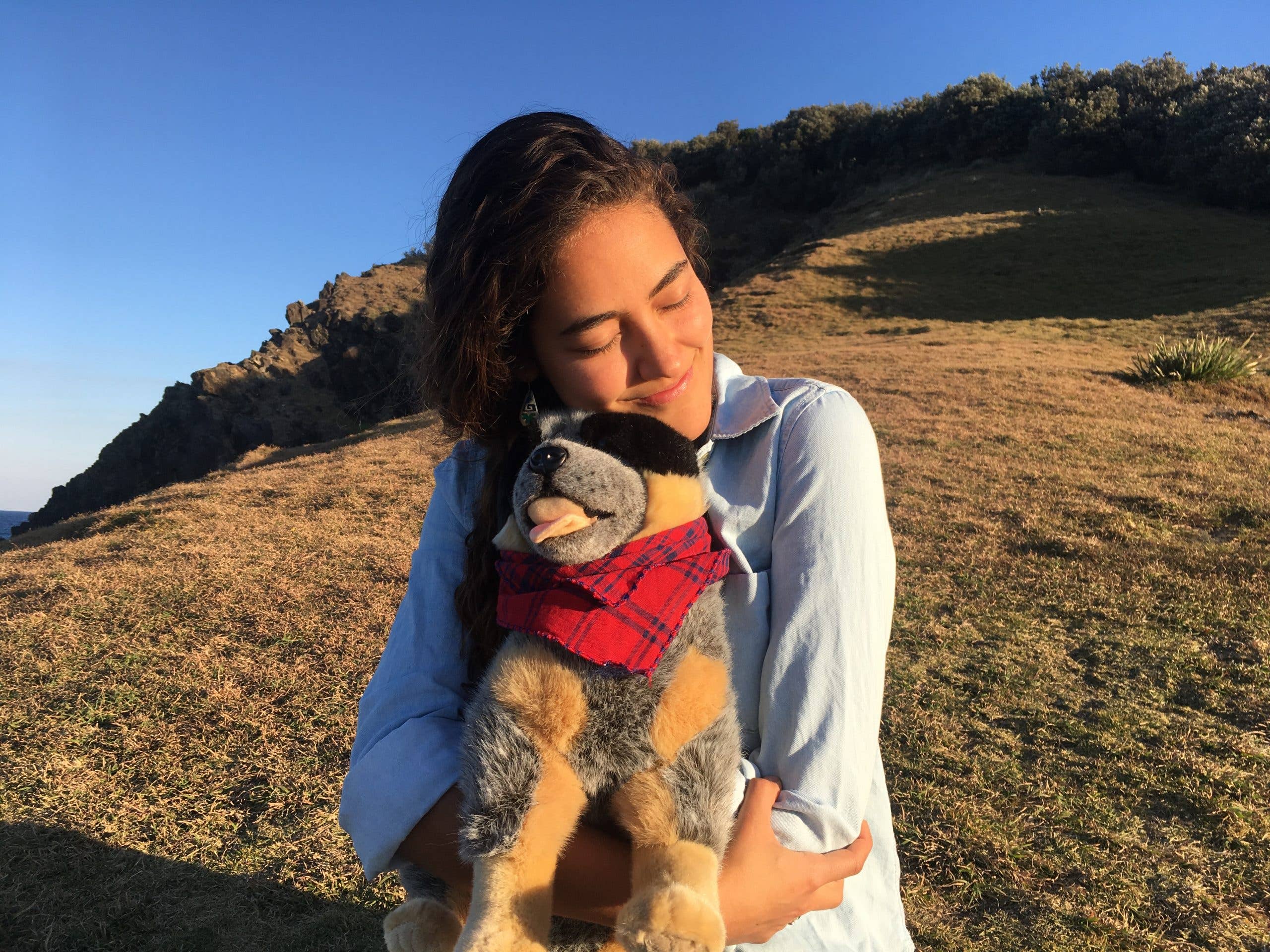 Australian Cattle Dog Lifelike Size 40cm/15.7、mySite、g9winljtr