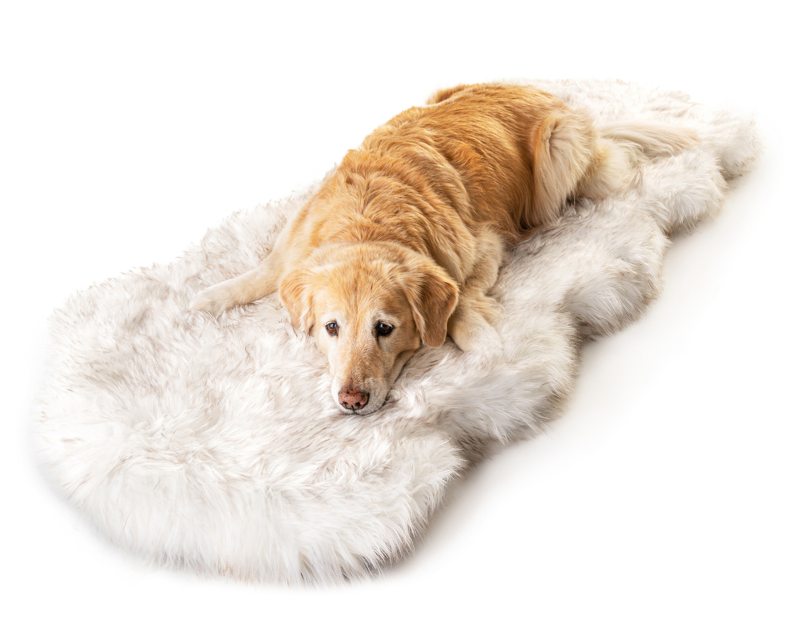 PupRug™ Runner Faux Fur Memory Foam Dog Bed Cover - Curve White with Brown Accents (Bed Not Included)、mySite、solidvoid