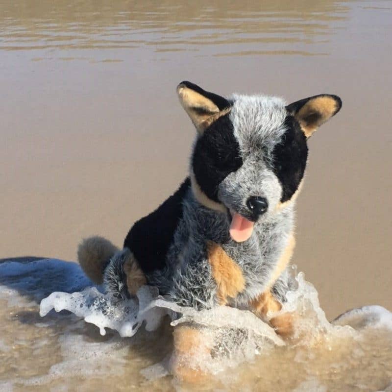 Australian Cattle Dog Lifelike Size 40cm/15.7、mySite、g9winljtr