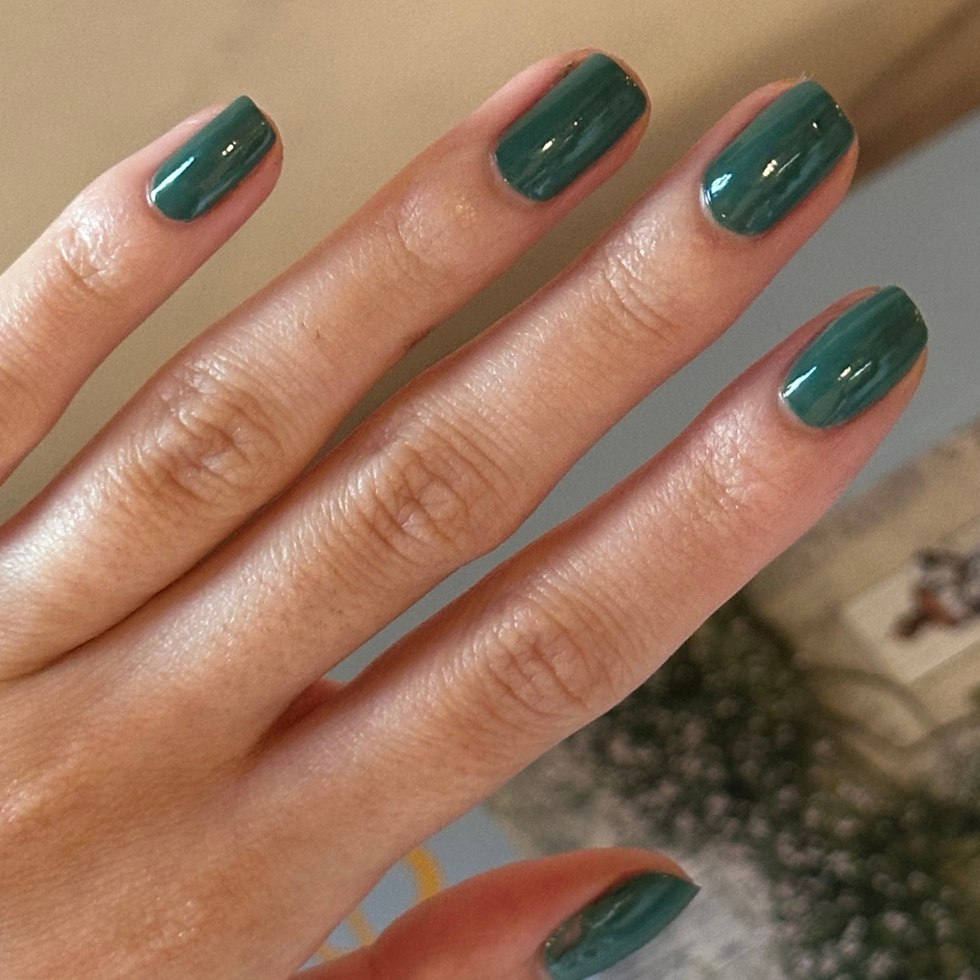 Still Life of Flowers、mySite、solidvoid