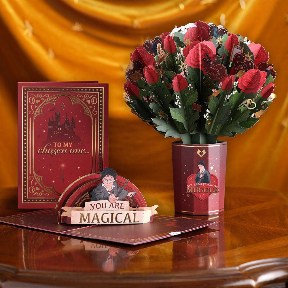 Harry Potter™ You Are Magical Bundle、mySite、solidvoid