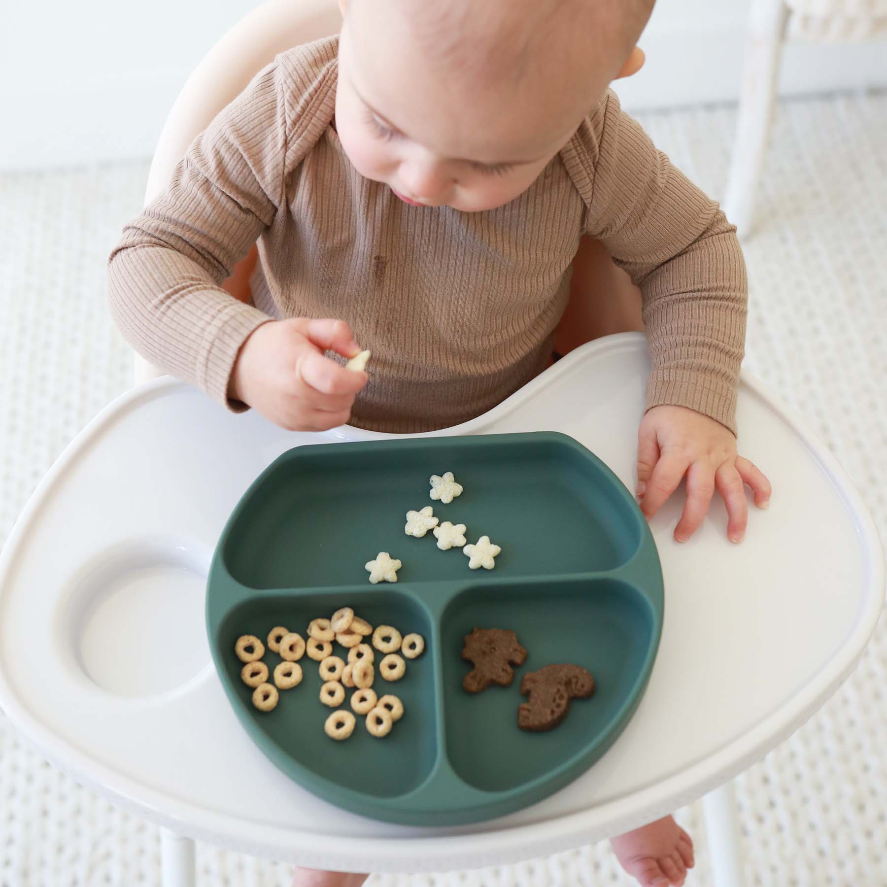  Silicone Suction Plate、mySite、layawaytickets