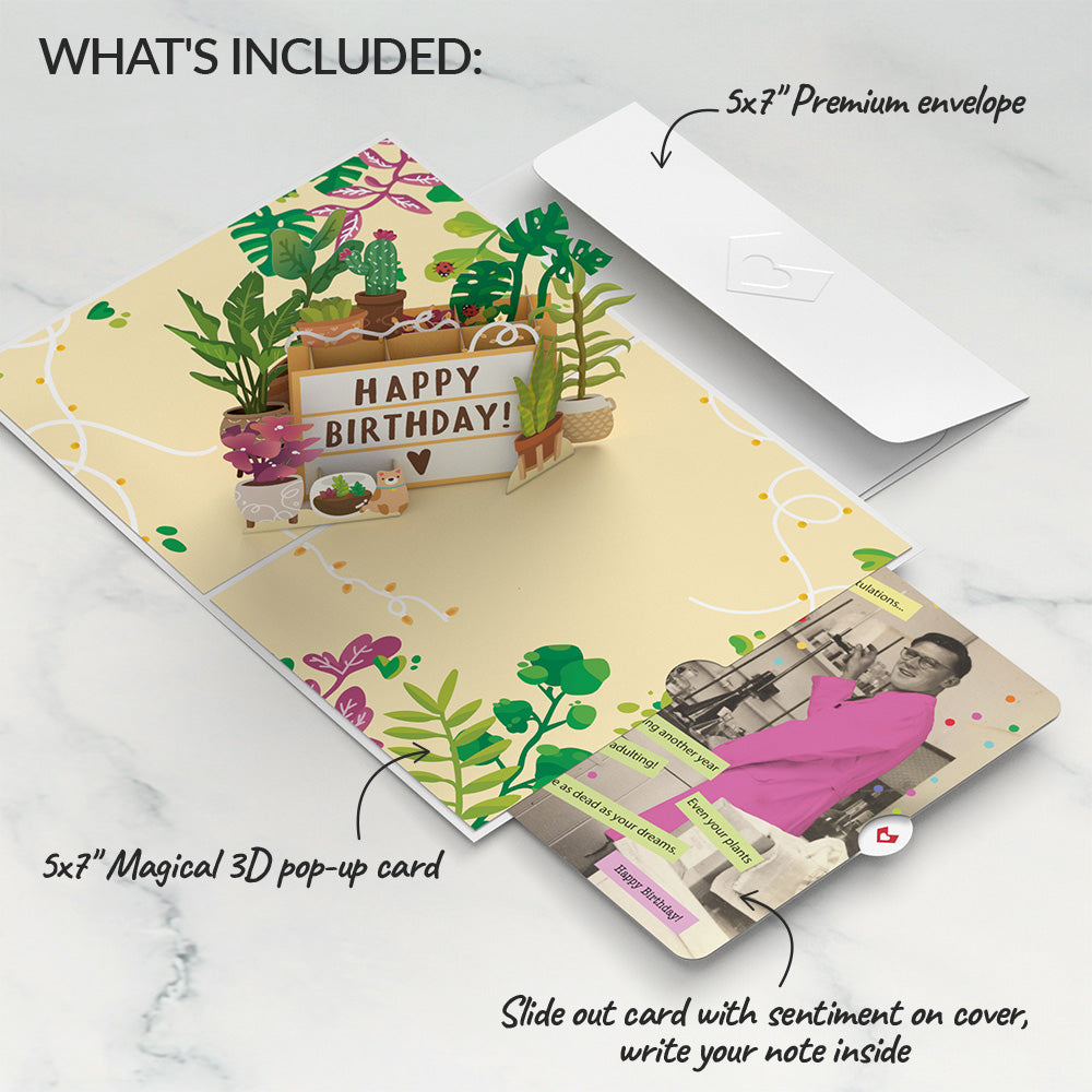 Happy Birthday Plants Pop-Up Card and Sentiment Set、mySite、solidvoid