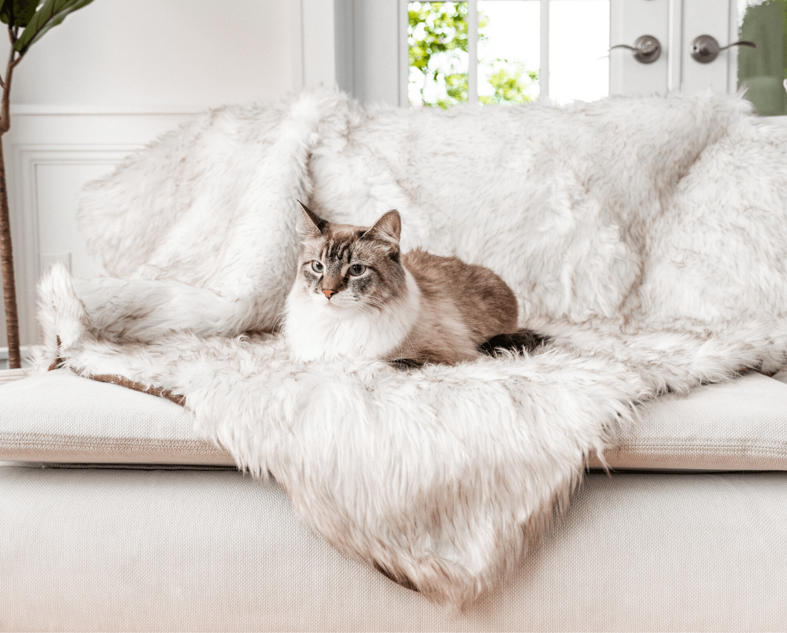 CatNap™ Anti-Scratch & Waterproof Throw Blanket - White with Brown Accents、mySite、solidvoid