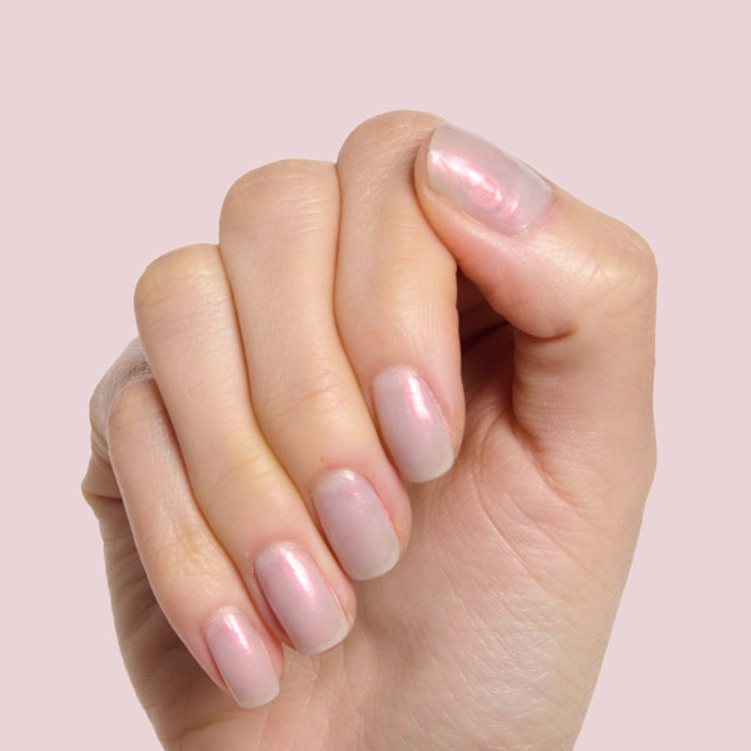 Lucky Oyster、mySite、solidvoid