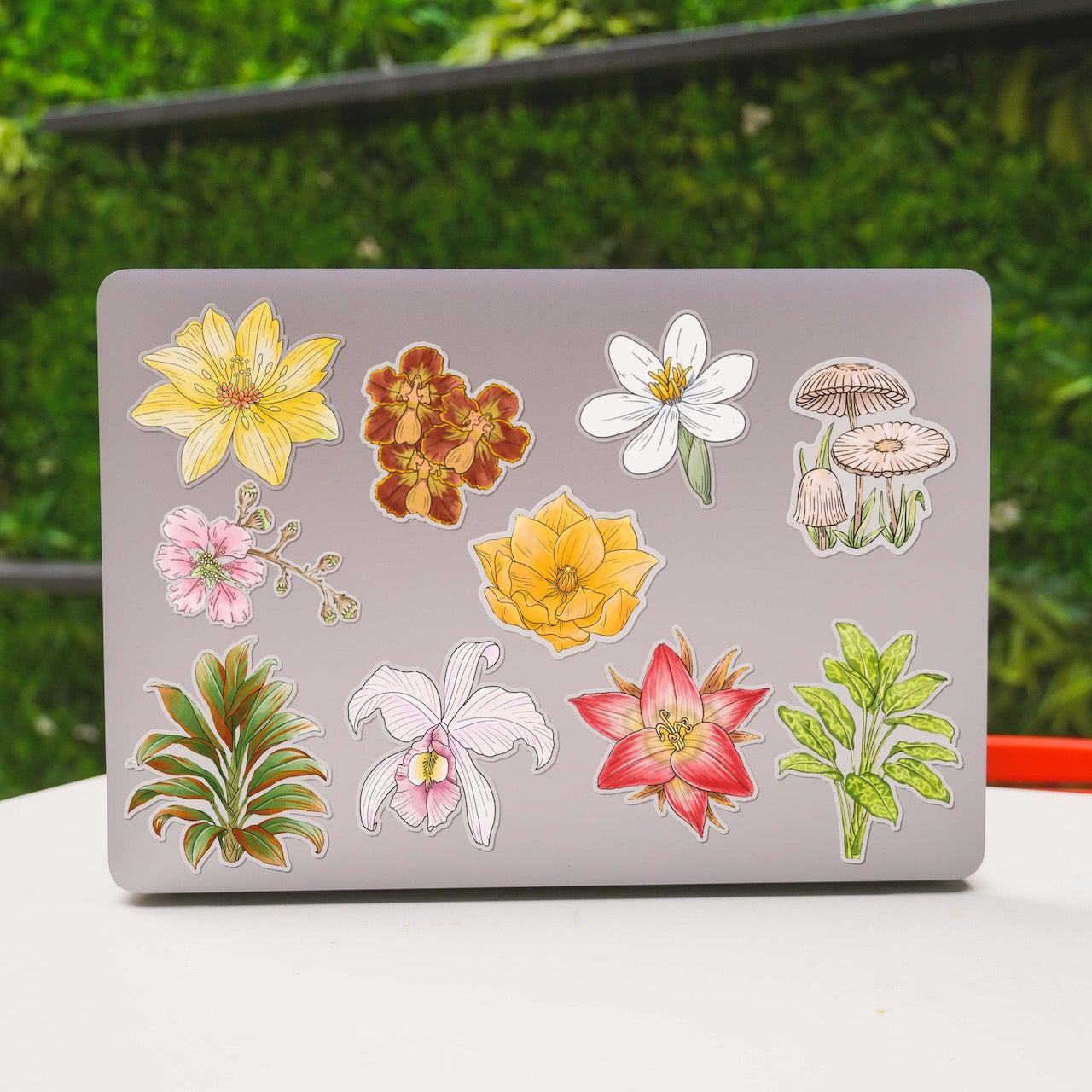  Botanical Clear Stickers 10 Pack、mySite、elrpsem3k