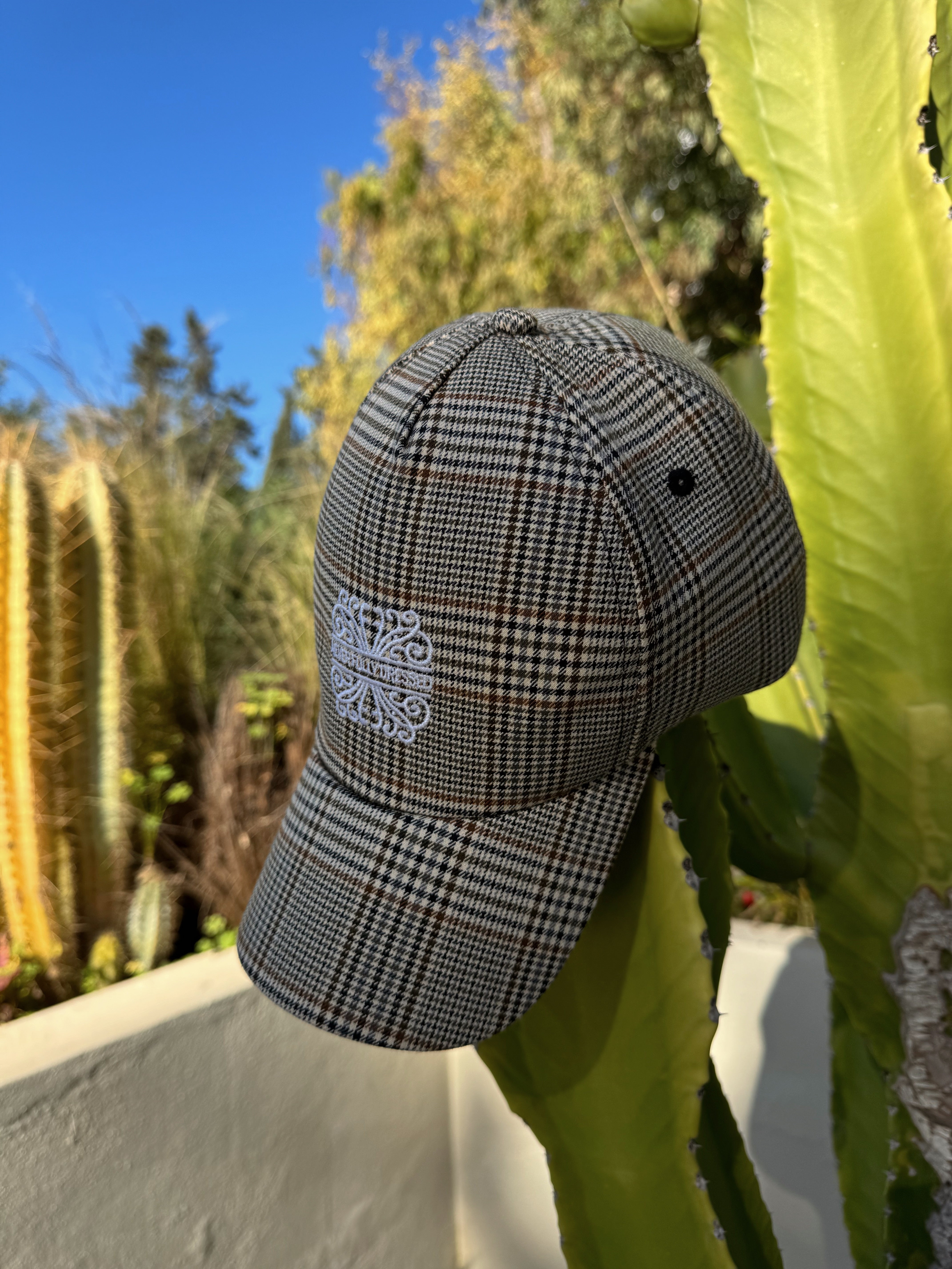 Check NFD Cap、mySite、solidvoid