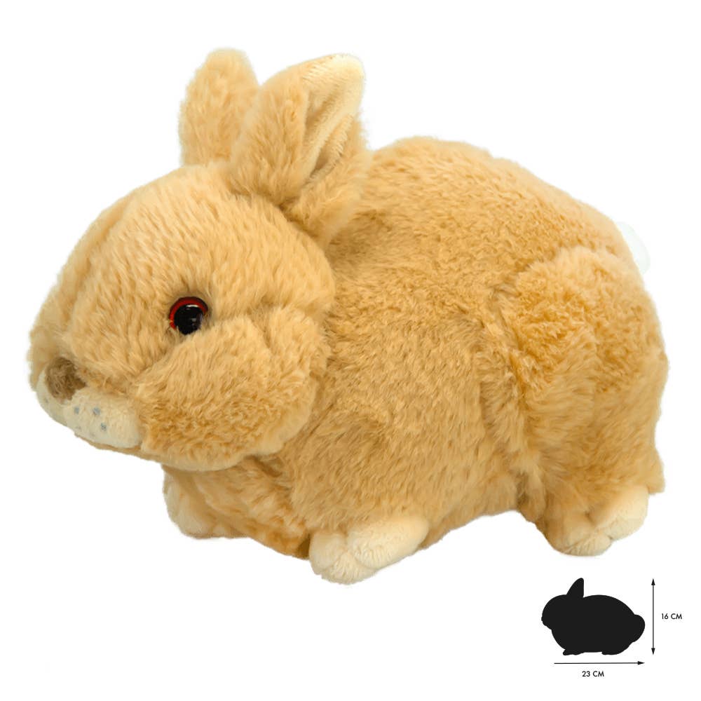 Fluffy Cream Colored Realistic Baby Rabbit by Wild Earth、mySite、g9winljtr