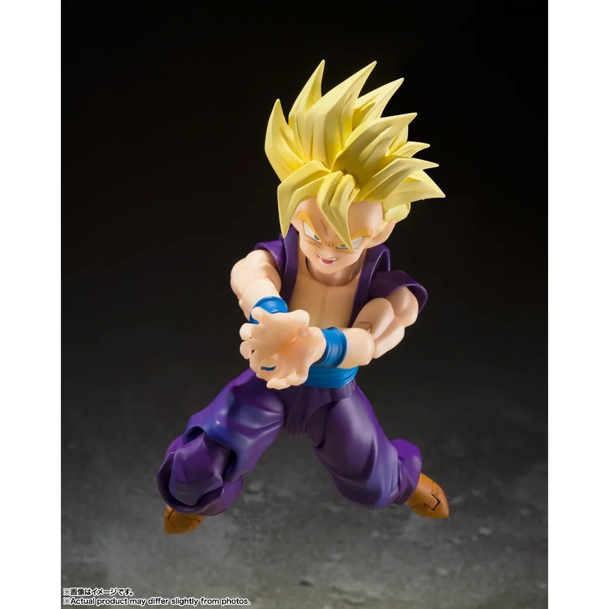 S.H. Figuarts Dragon Ball Z Super Saiyan Son Gohan (The Warrior Who Surpassed Goku)、mySite、hgirdovlk