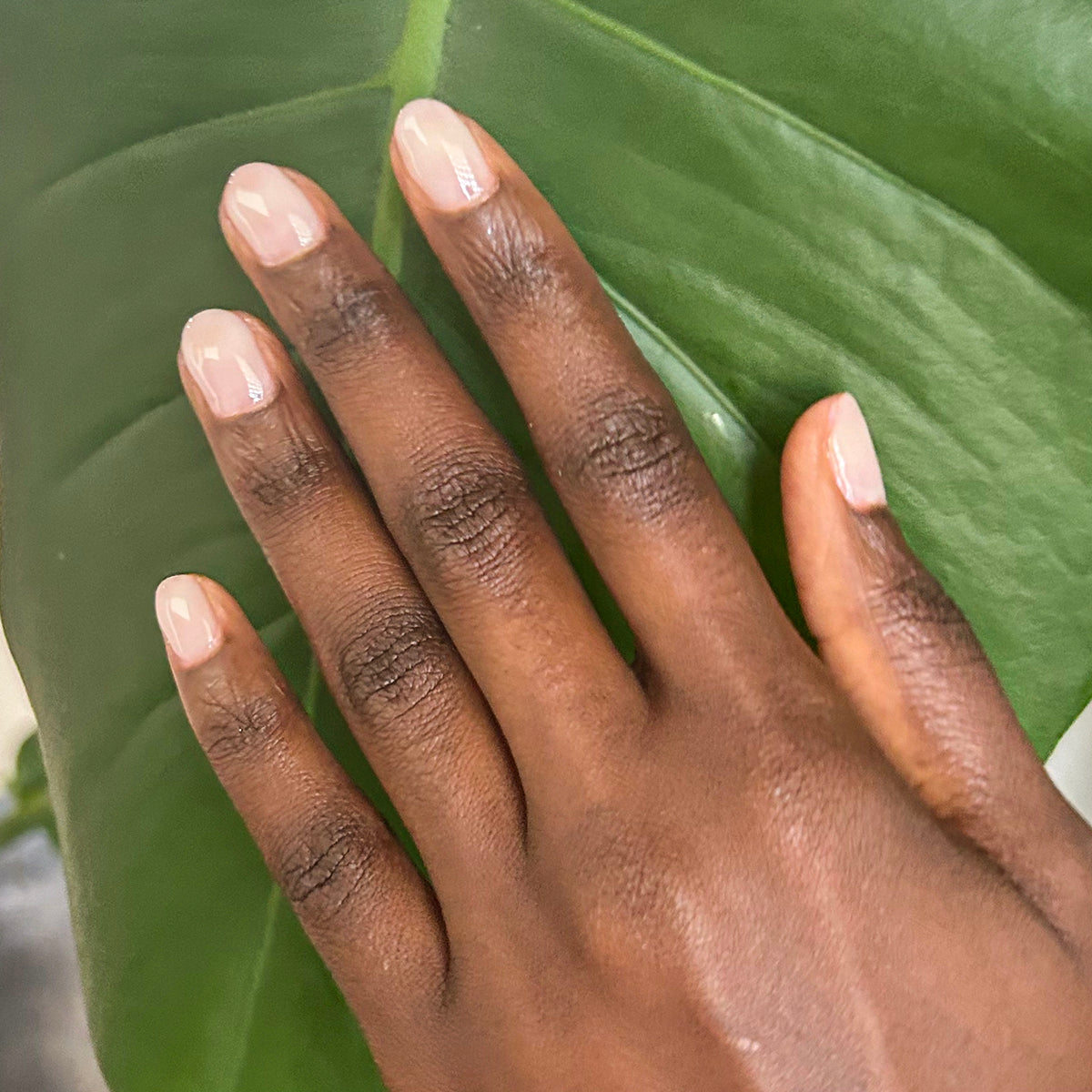 CCT - Gel、mySite、solidvoid