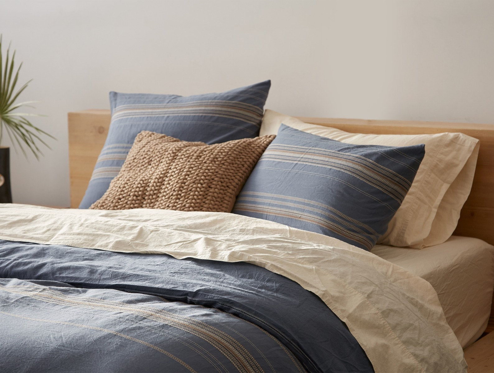  Lobos Organic Sham - Renewed、mySite、sugarbowlscore