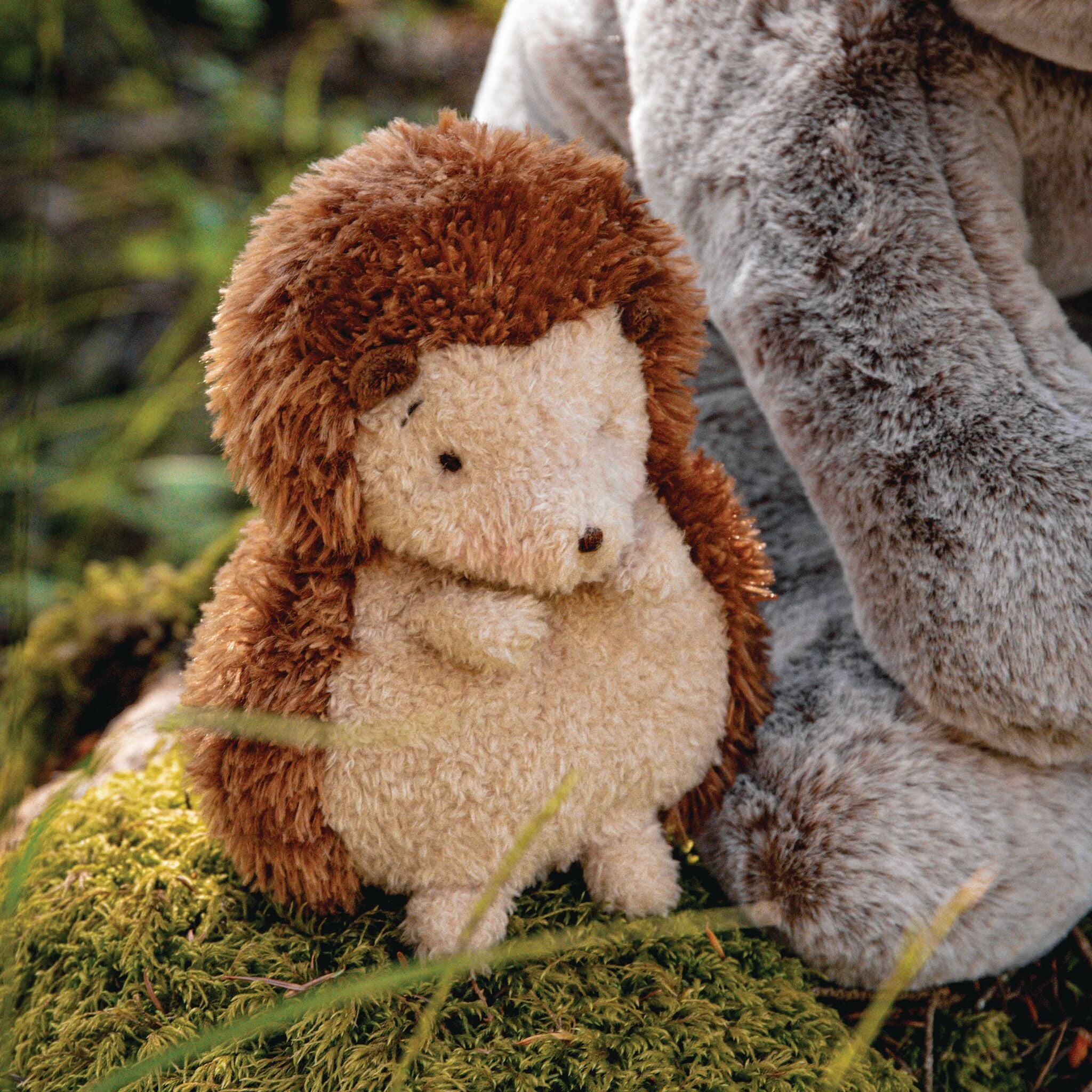 Smidgen The Hedgehog、mySite、g9winljtr