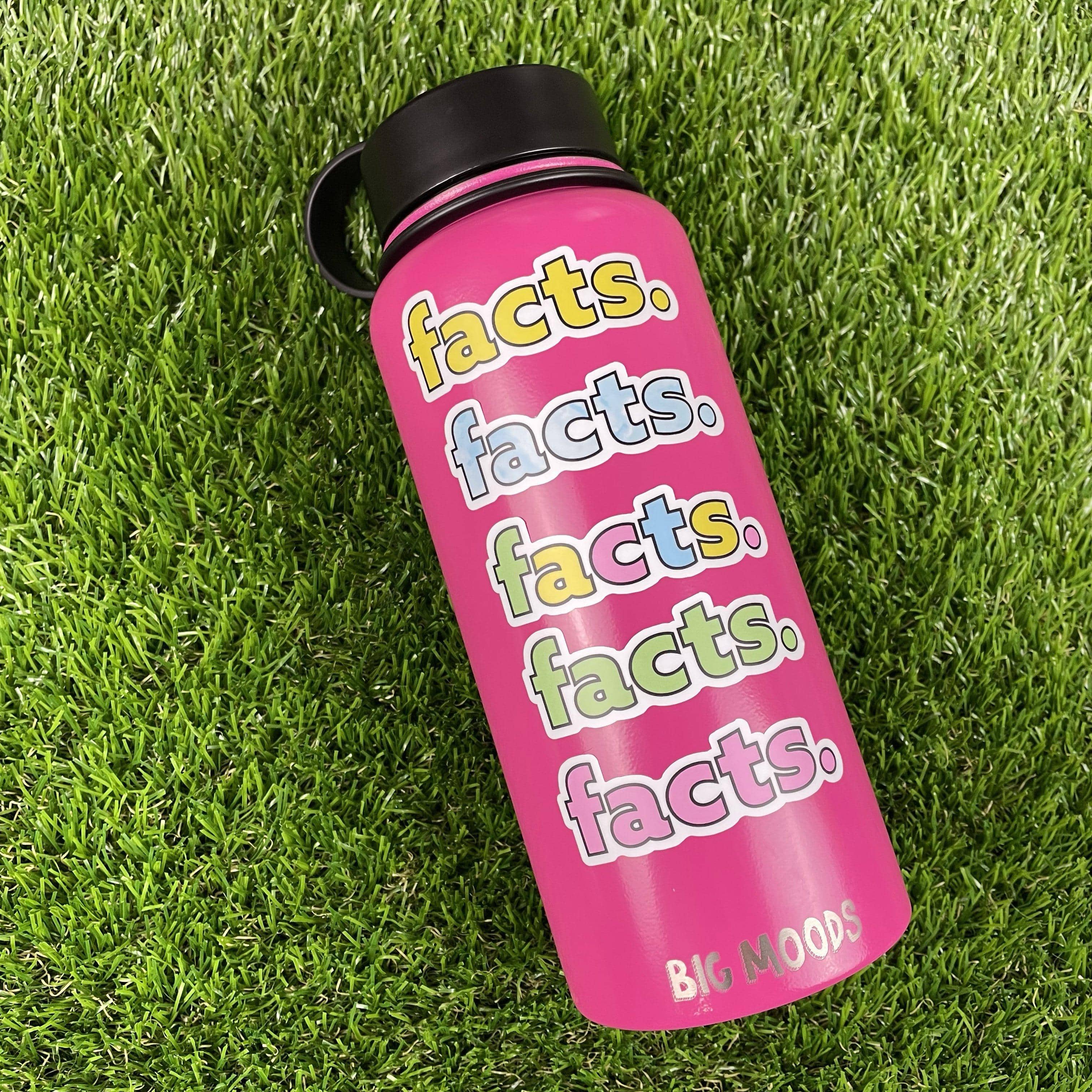  Facts. Aesthetic Sticker 5 Pack、mySite、elrpsem3k