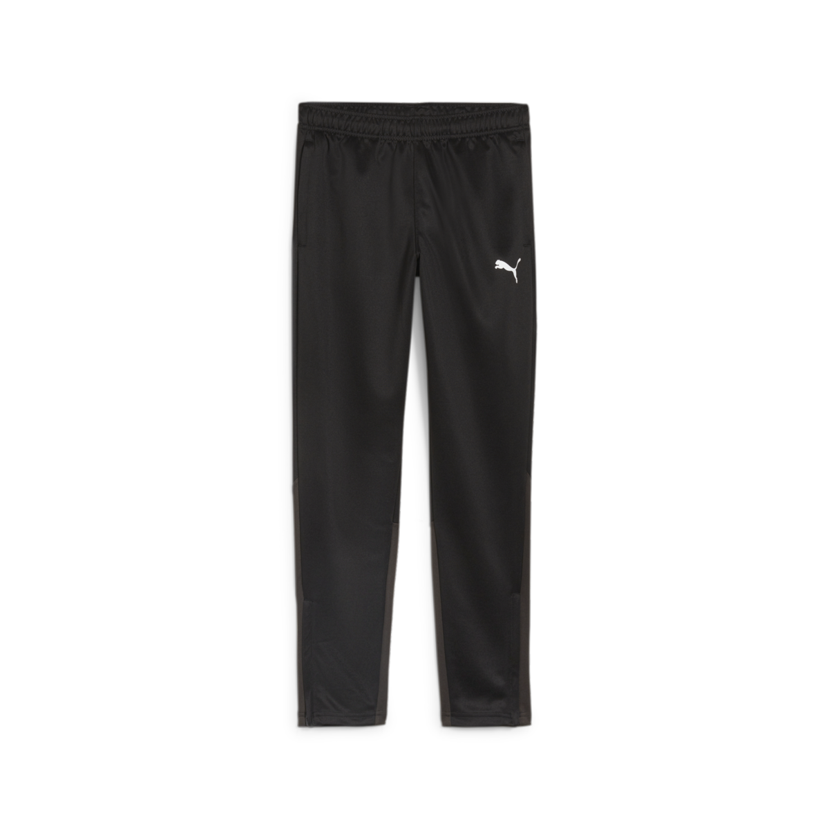 Puma Youth Team Goal Training Pants - Black、mySite、noshort